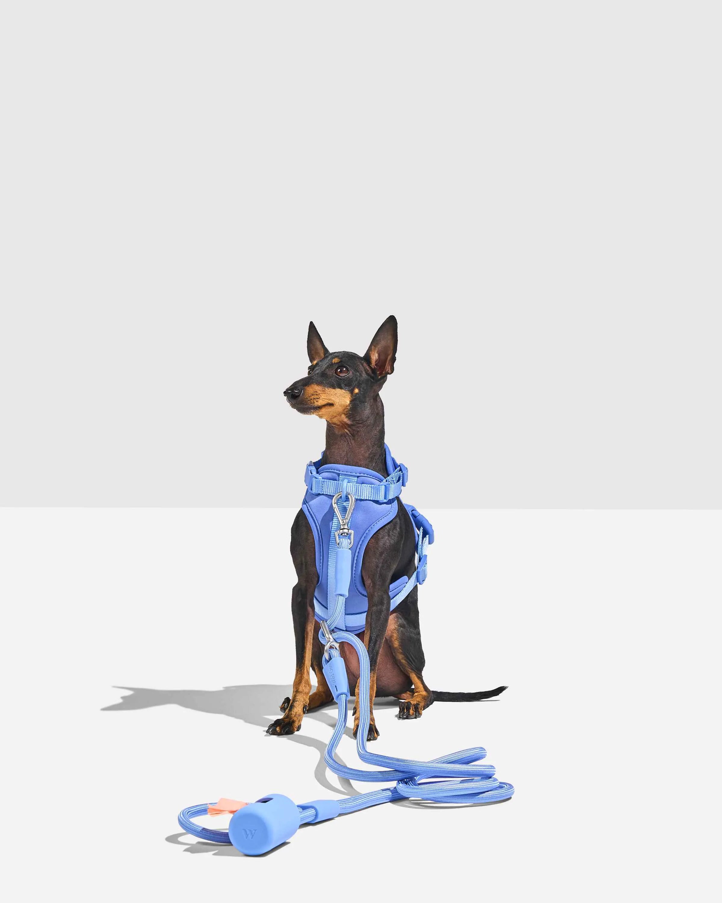 Hands-Free Rope Dog Leash