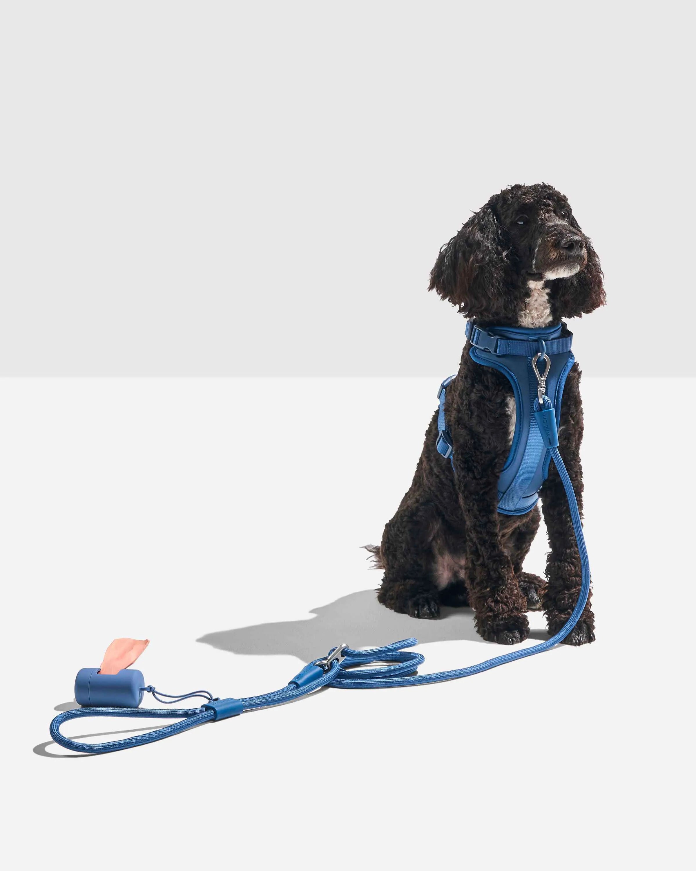 Hands-Free Rope Dog Leash