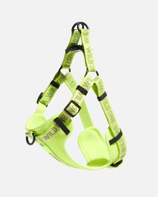 Limeade Reflective
