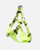 Limeade Reflective