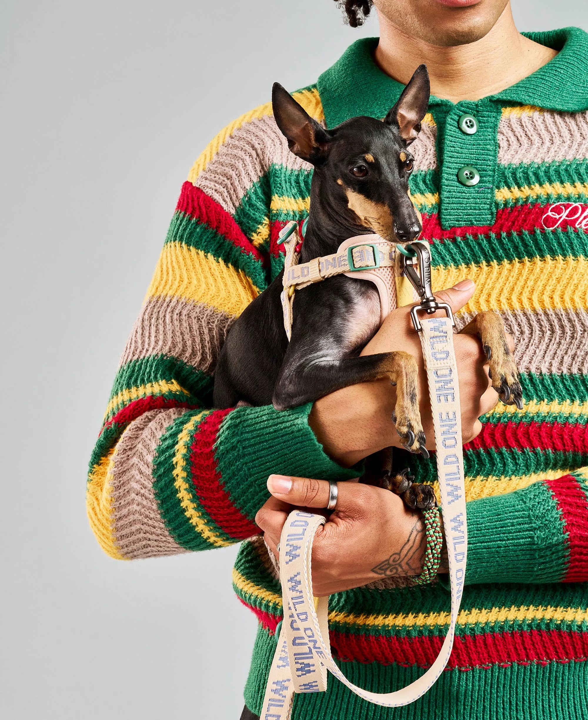 Lightweight Dog Leash