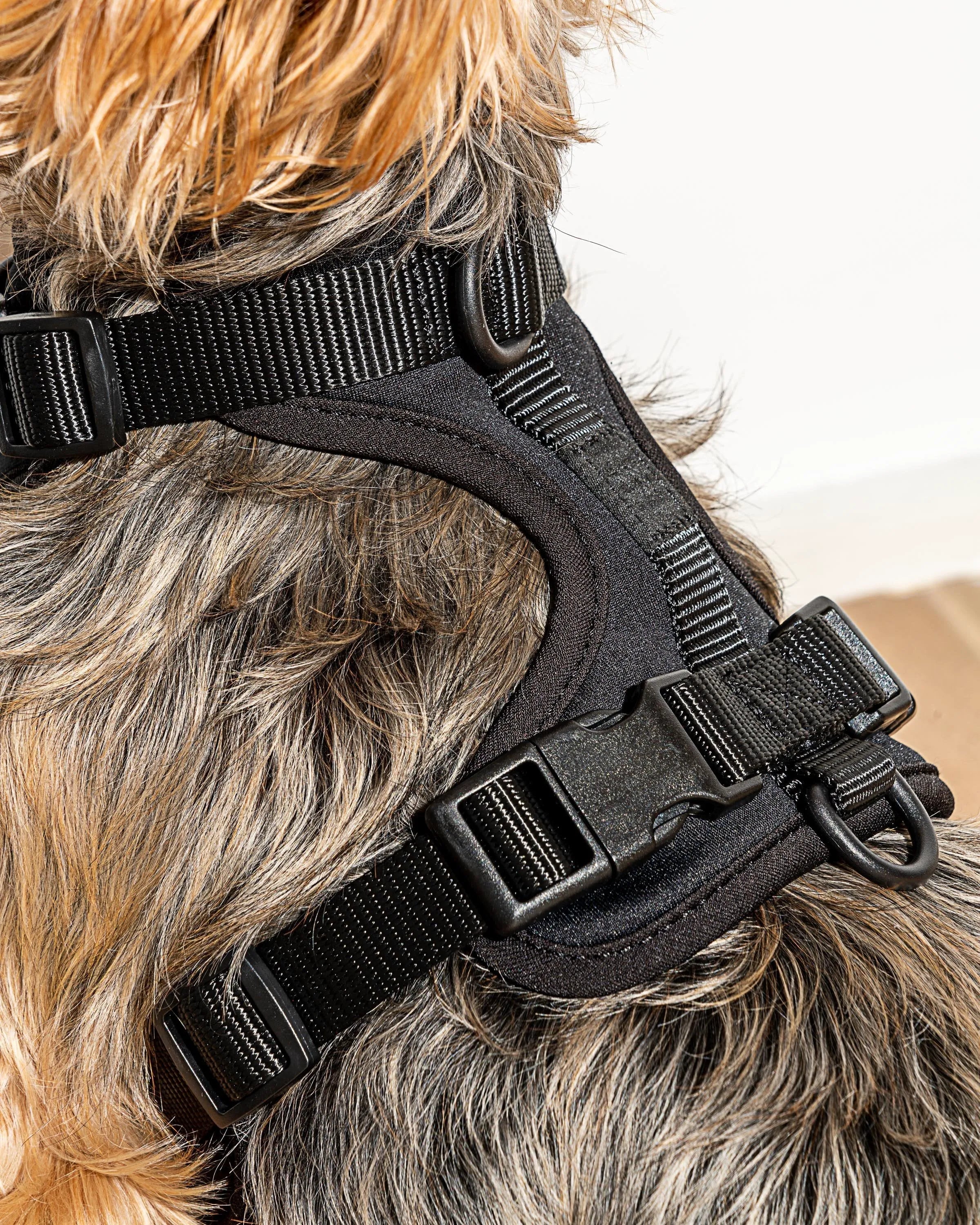 Cushioned Dog Harness