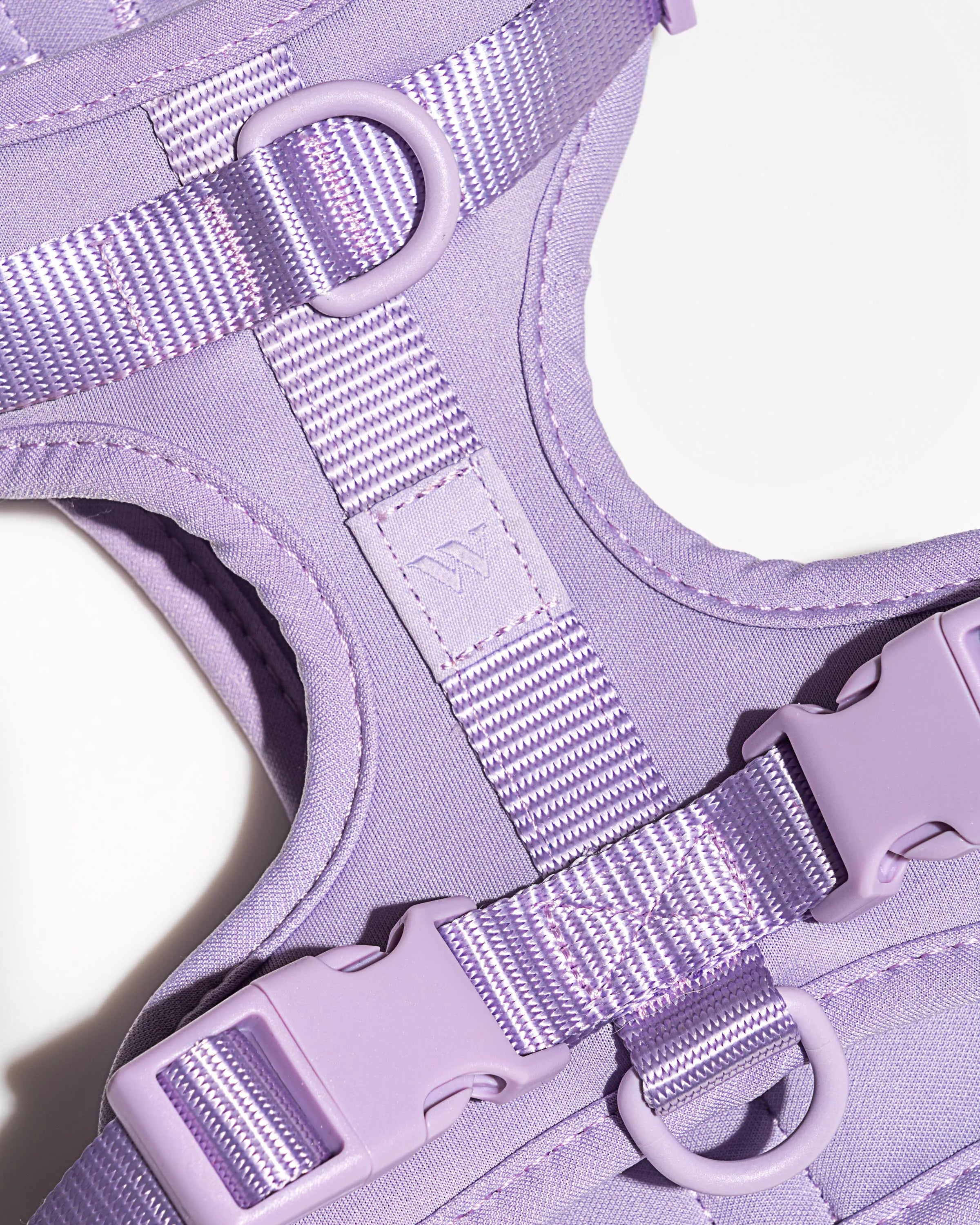 Cushioned Dog Harness