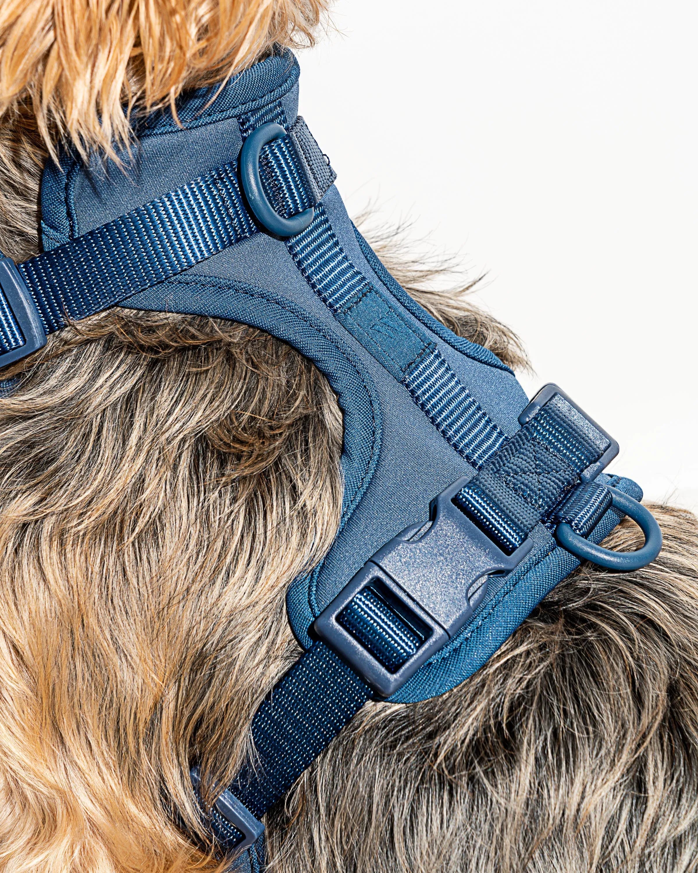 Cushioned Dog Harness