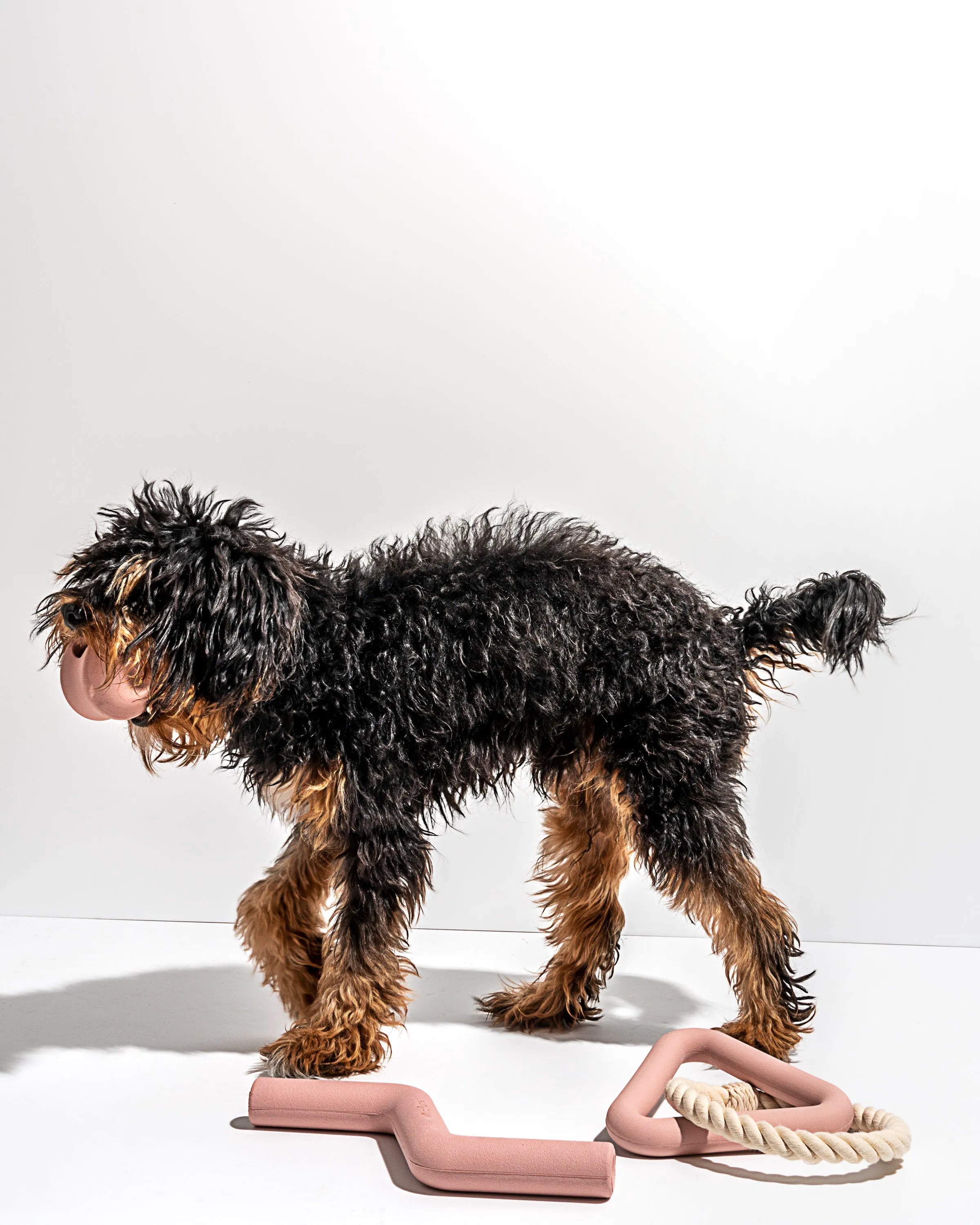 Interactive Dog Toy Kit for Chewing and Fetch