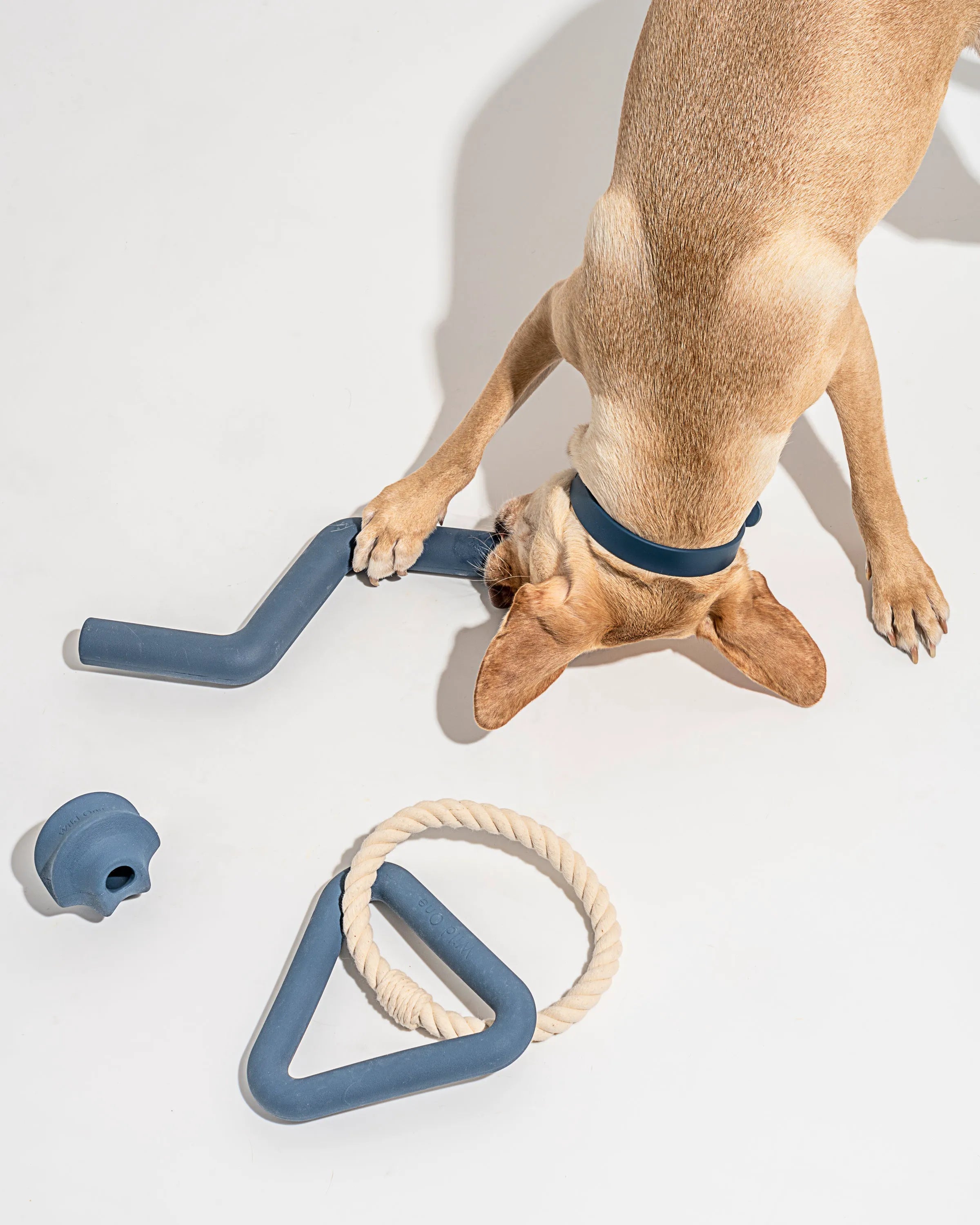 Interactive Dog Toy Kit for Chewing and Fetch