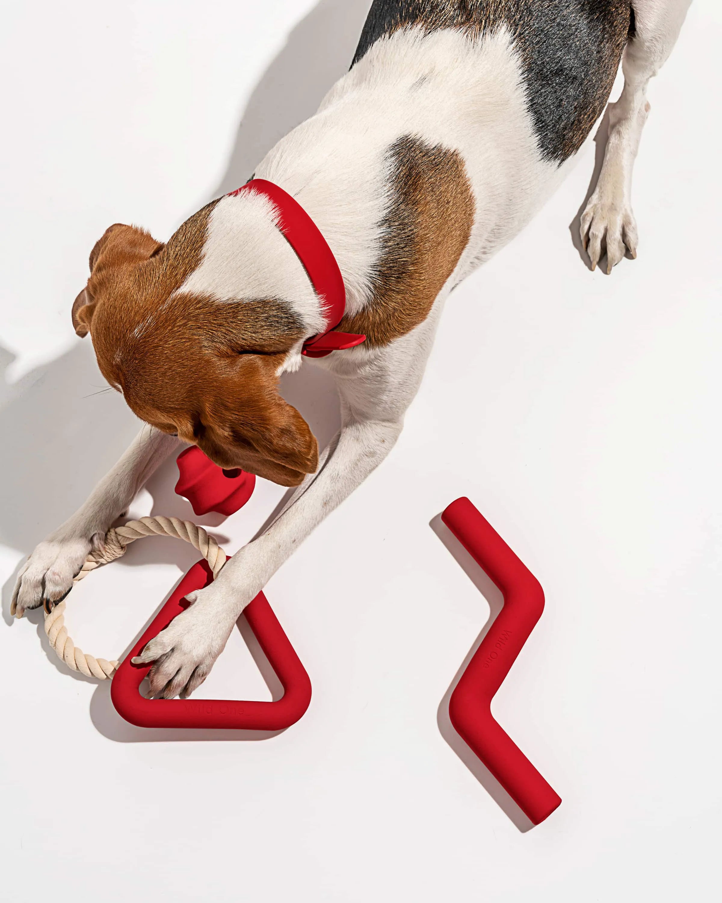 Interactive Dog Toy Kit for Chewing and Fetch