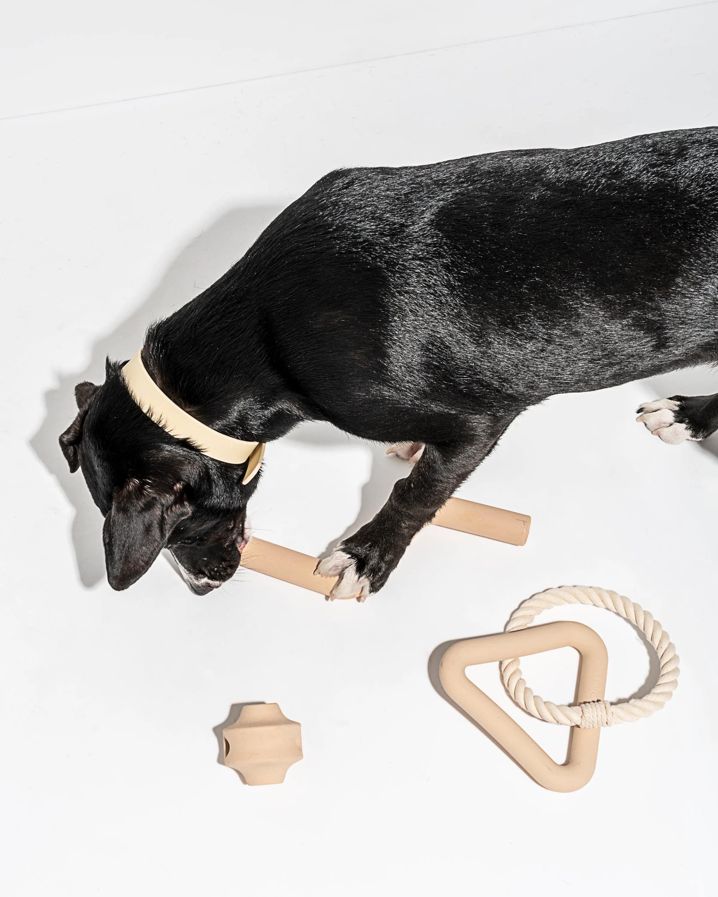 Interactive Dog Toy Kit for Chewing and Fetch