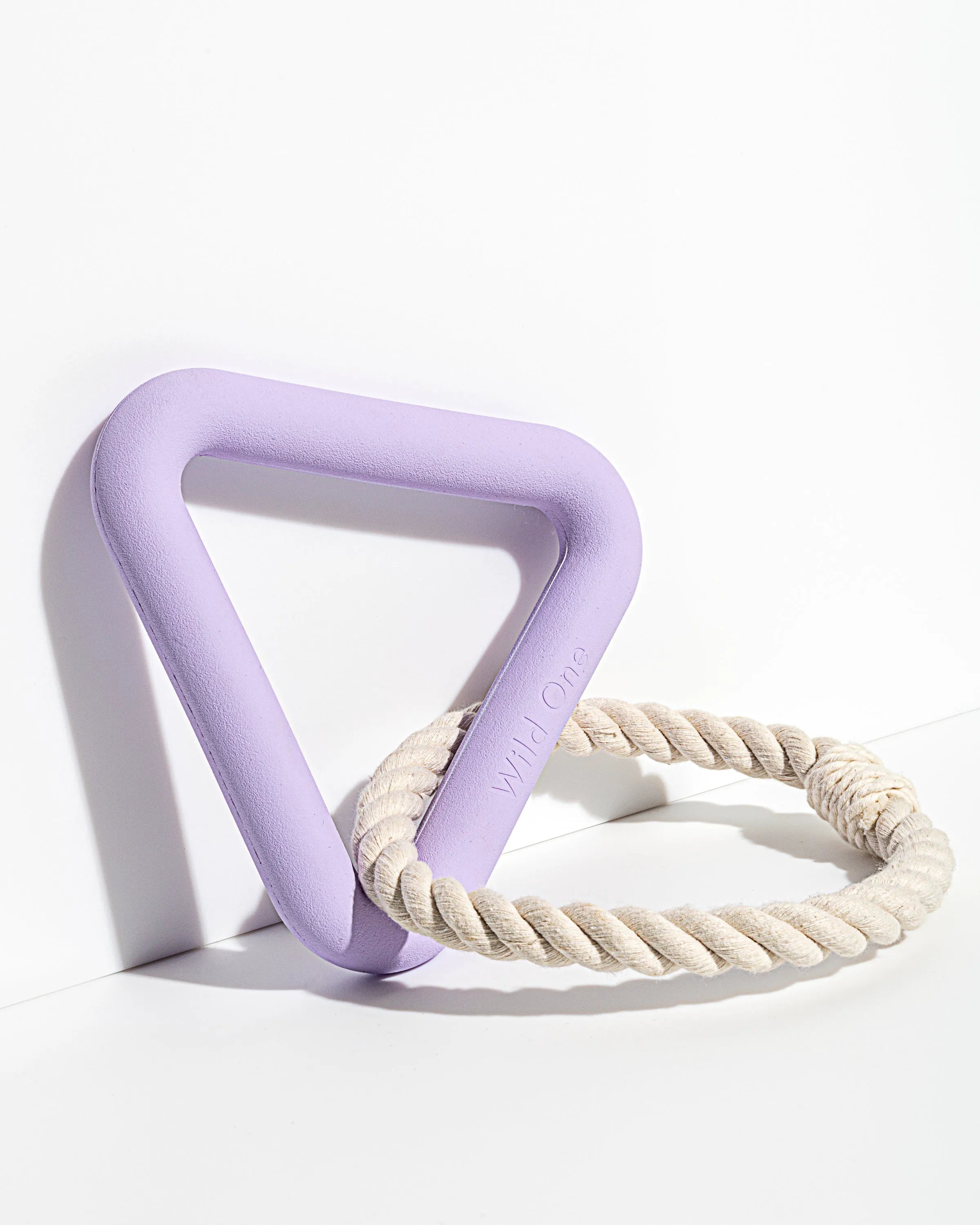 Interactive Dog Toy Kit for Chewing and Fetch