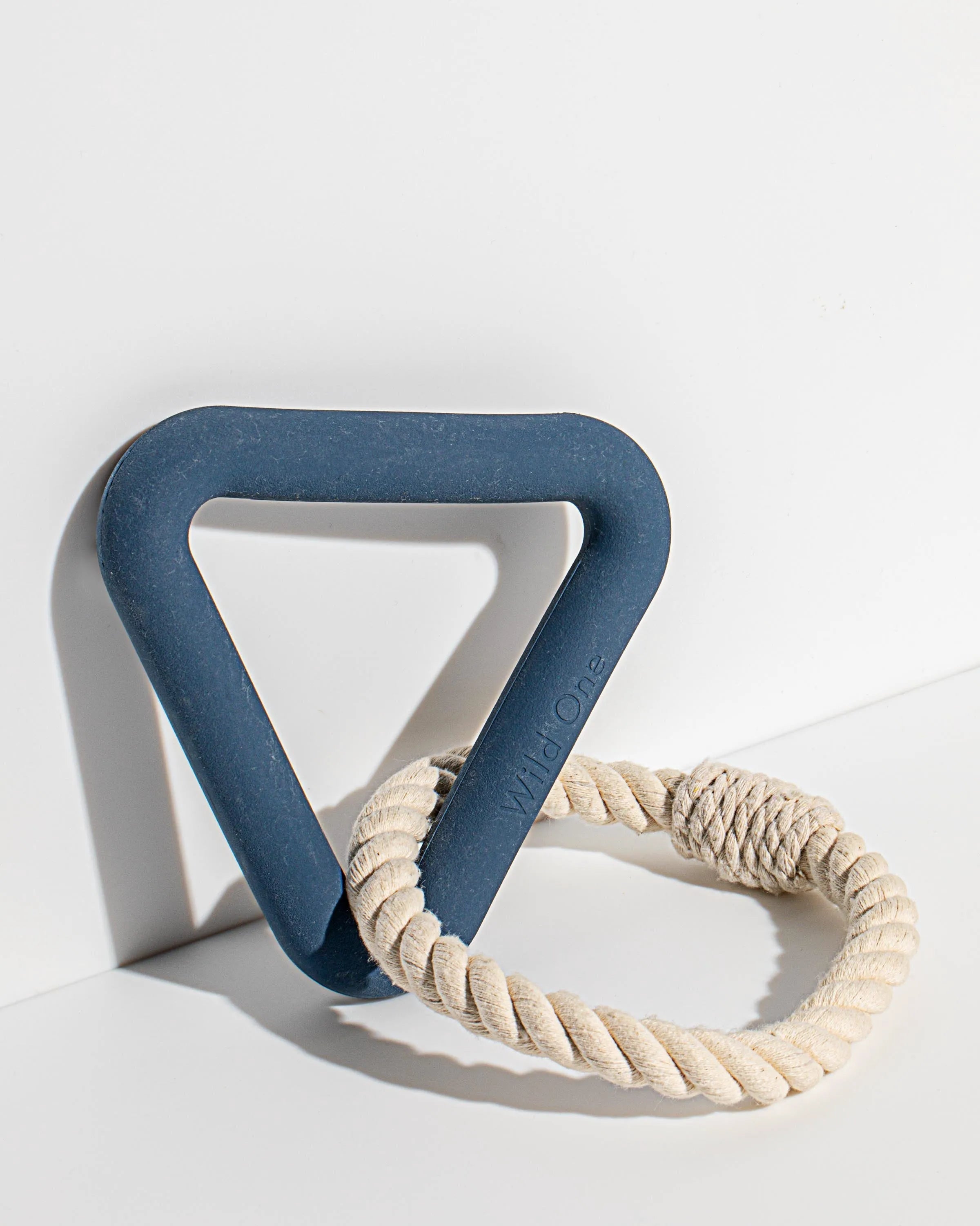 Interactive Dog Toy Kit for Chewing and Fetch