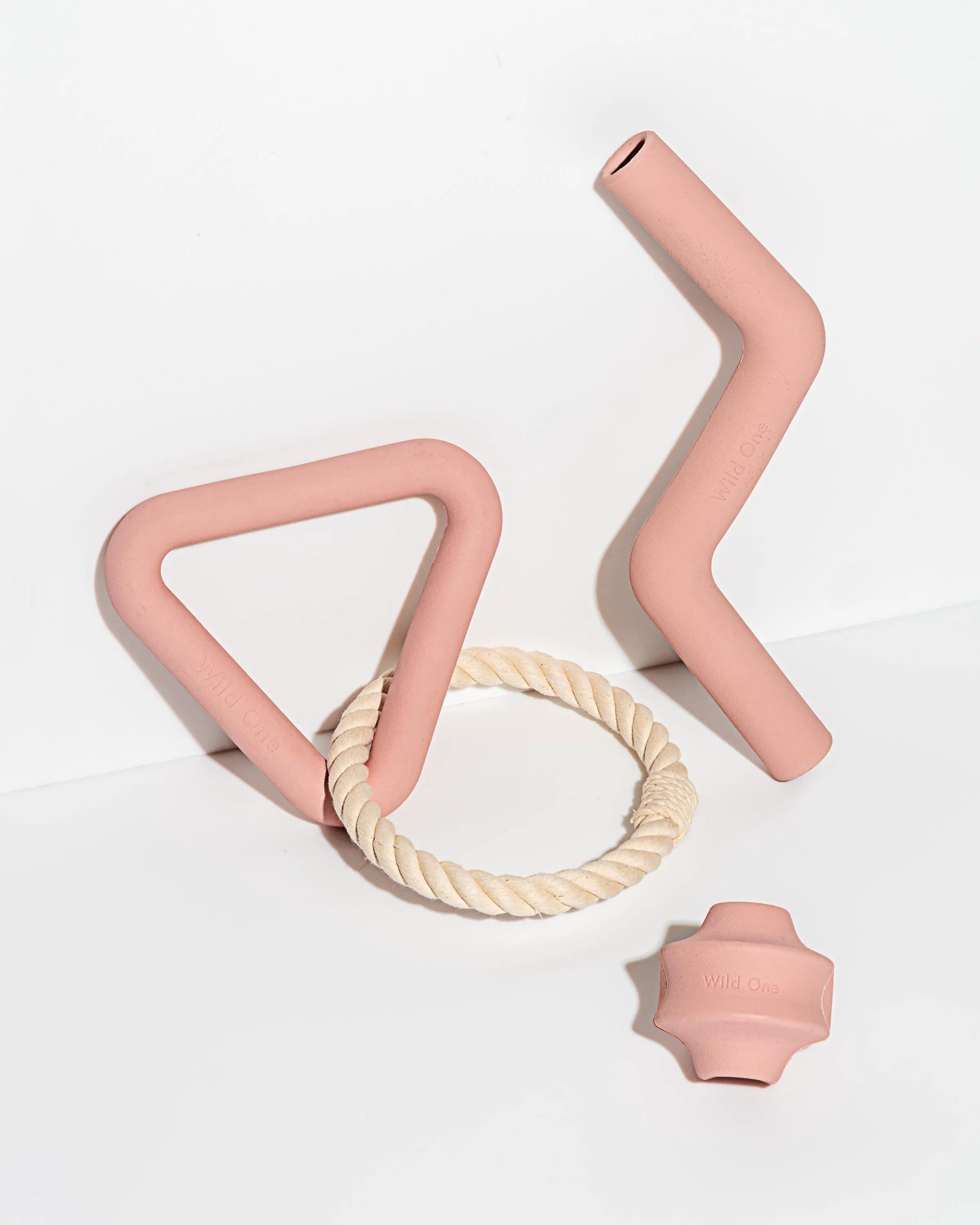 Interactive Dog Toy Kit for Chewing and Fetch