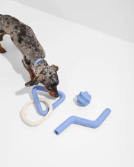 Interactive Dog Toy Kit for Chewing and Fetch