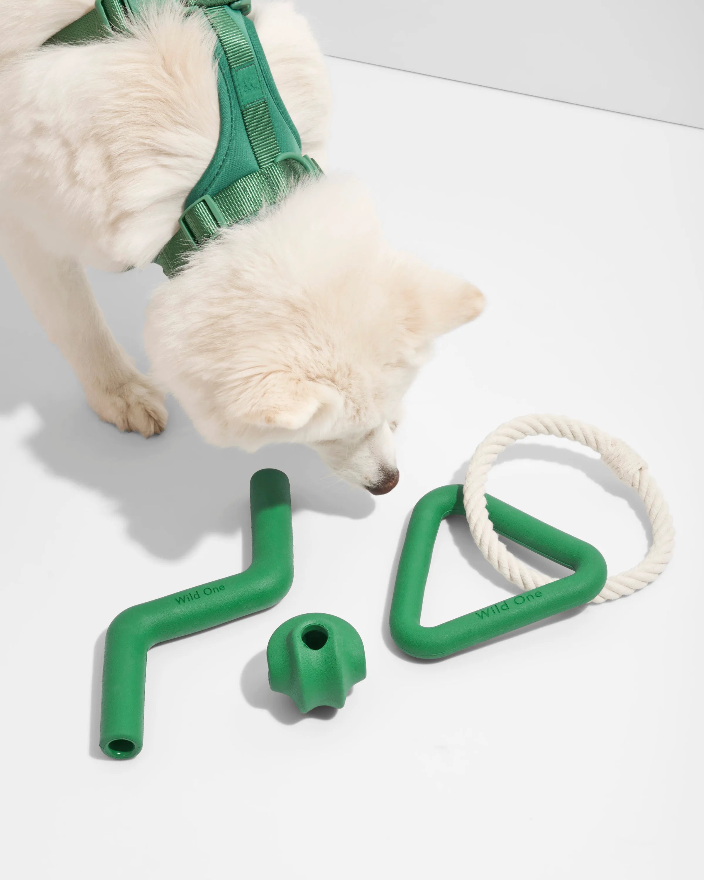 Interactive Dog Toy Kit for Chewing and Fetch