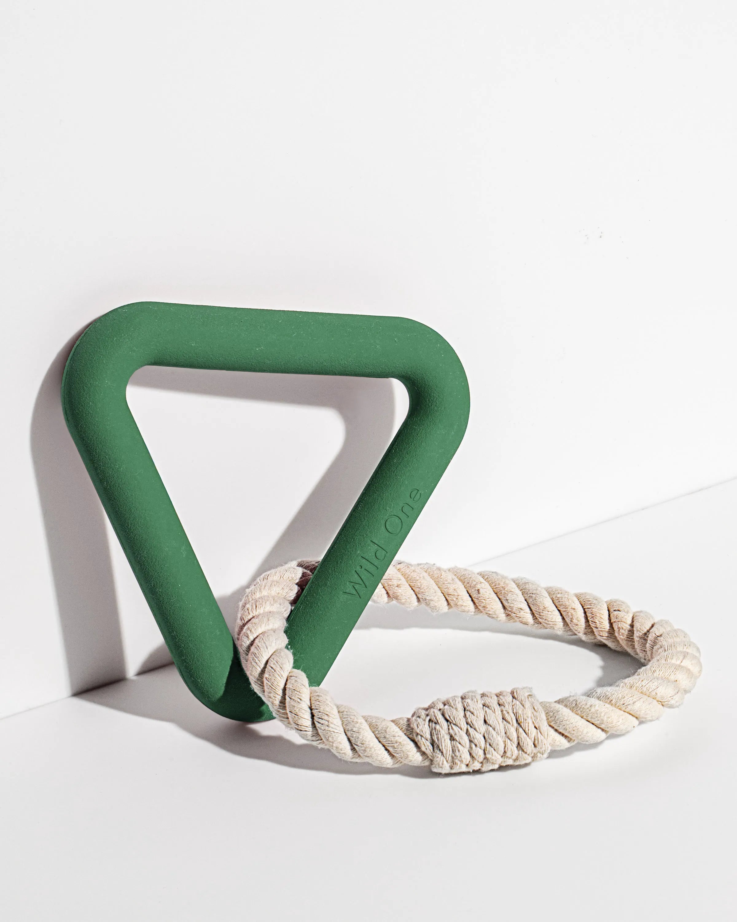 Interactive Dog Toy Kit for Chewing and Fetch