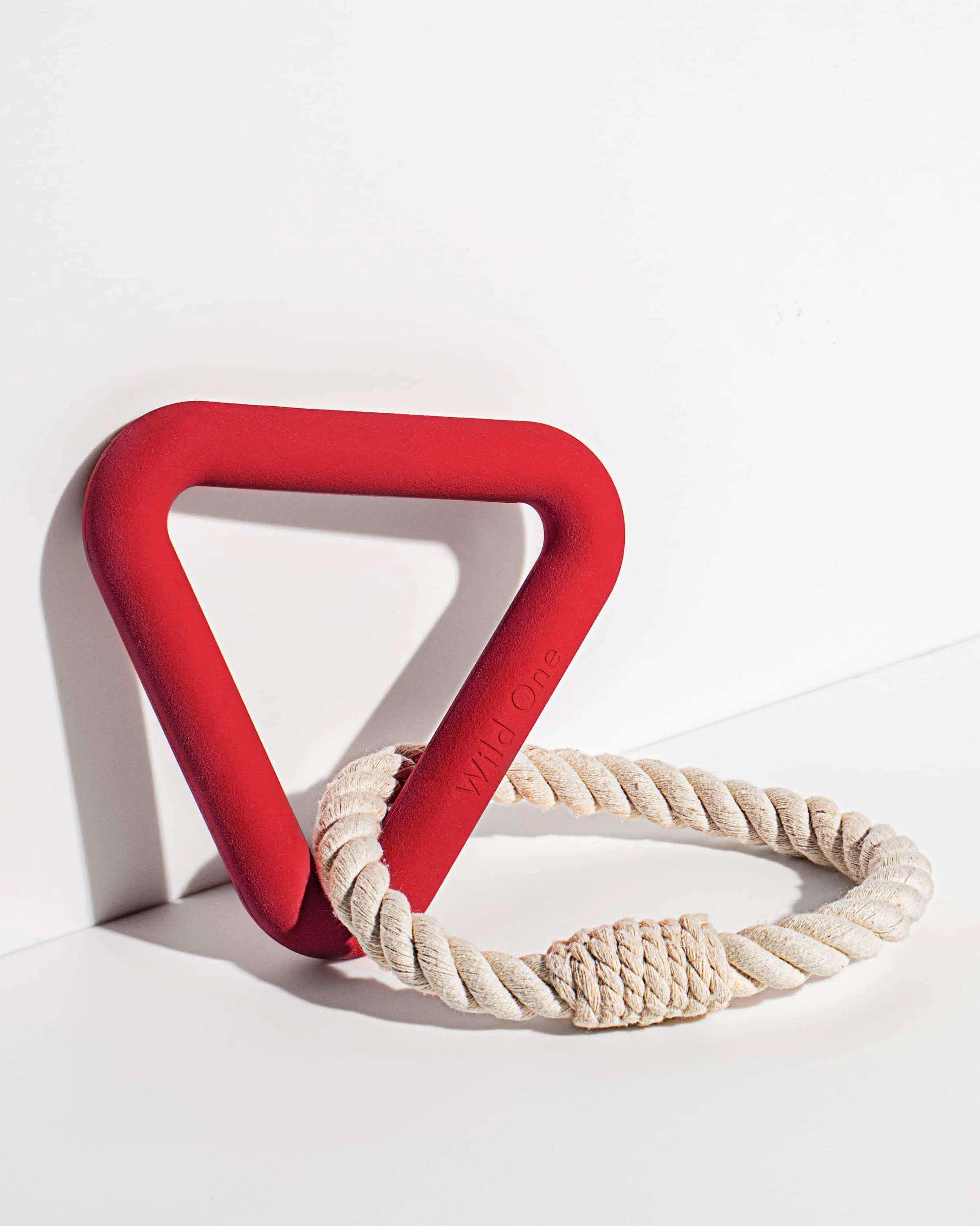 Interactive Dog Toy Kit for Chewing and Fetch