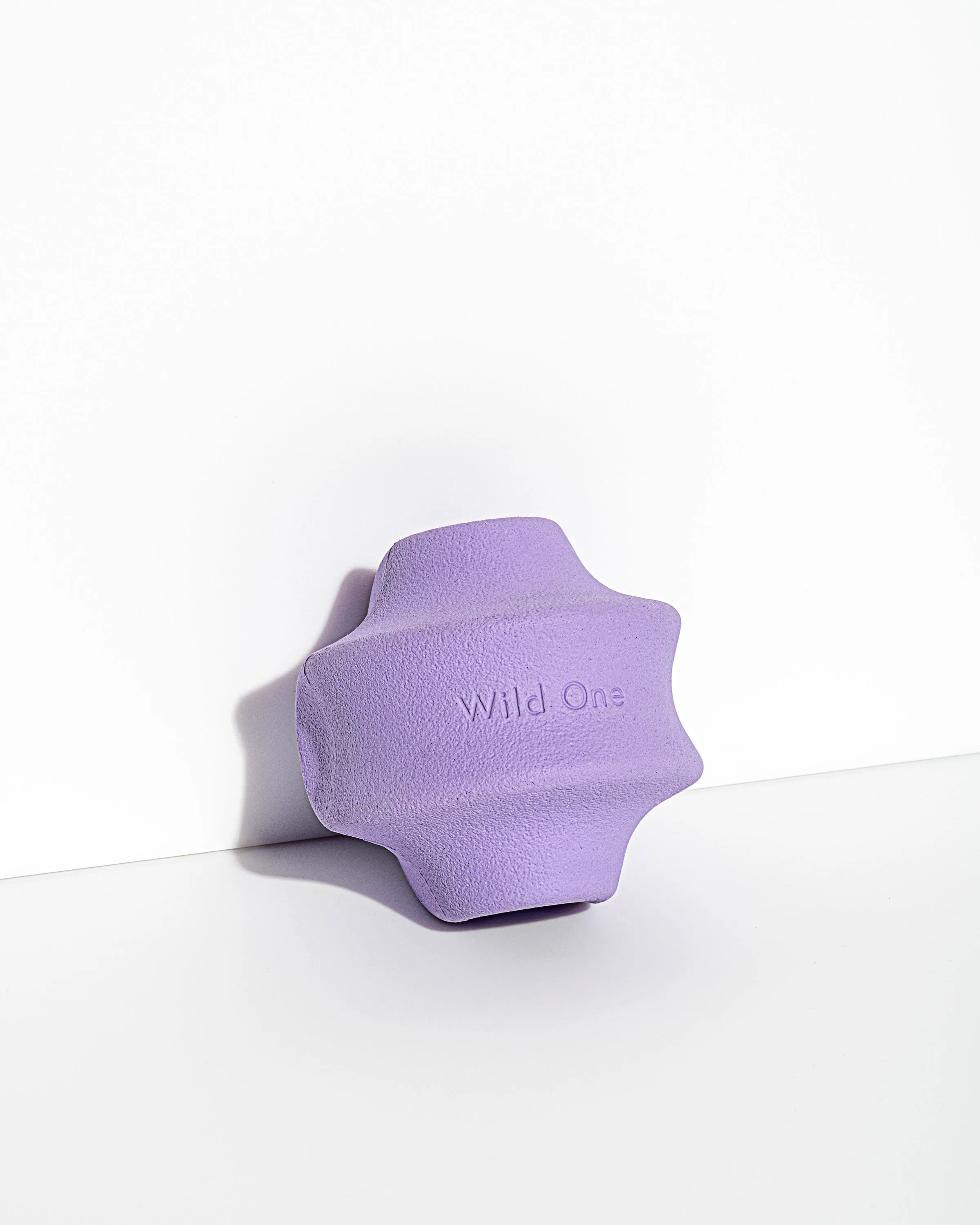Interactive Dog Toy Kit for Chewing and Fetch