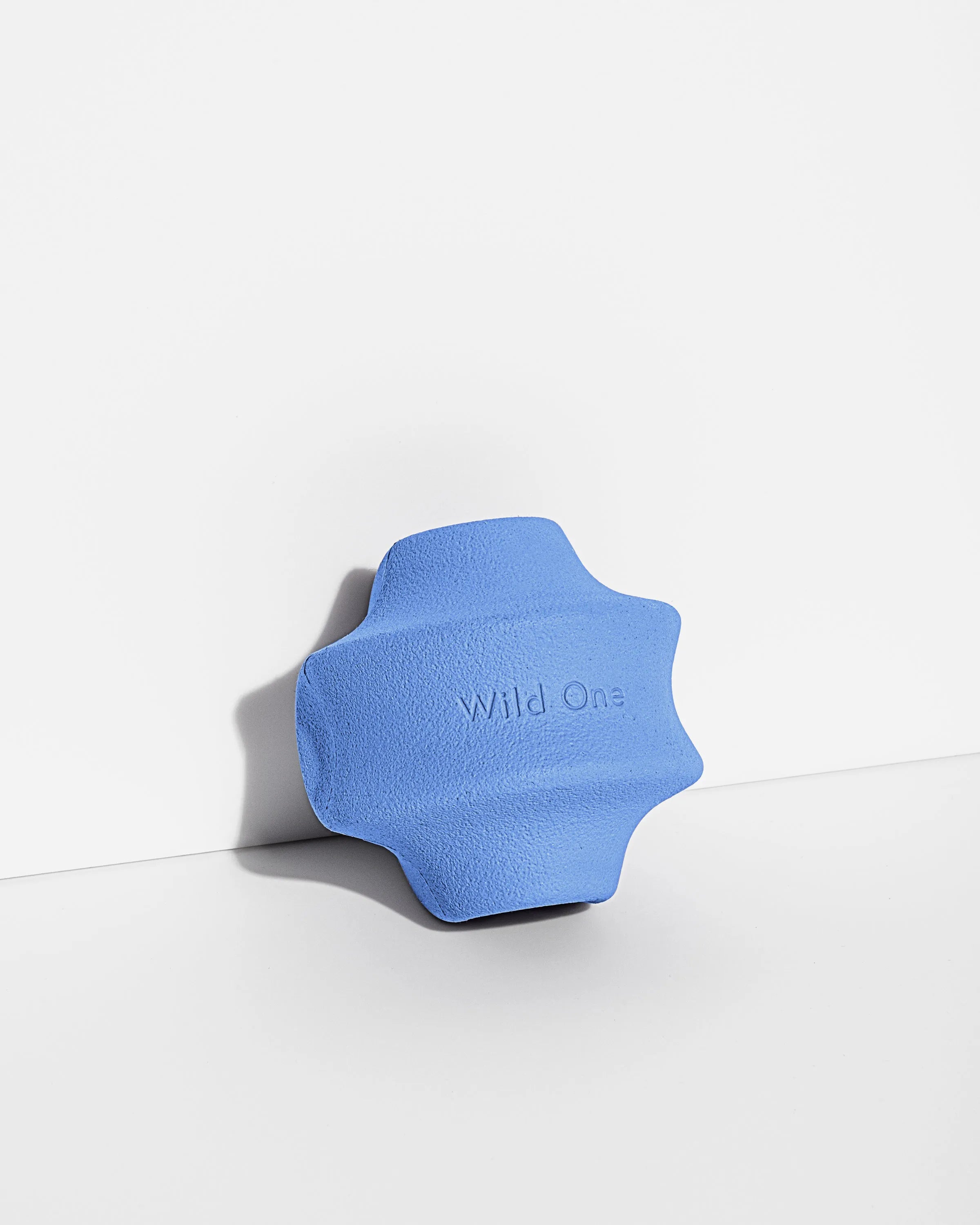 Interactive Dog Toy Kit for Chewing and Fetch