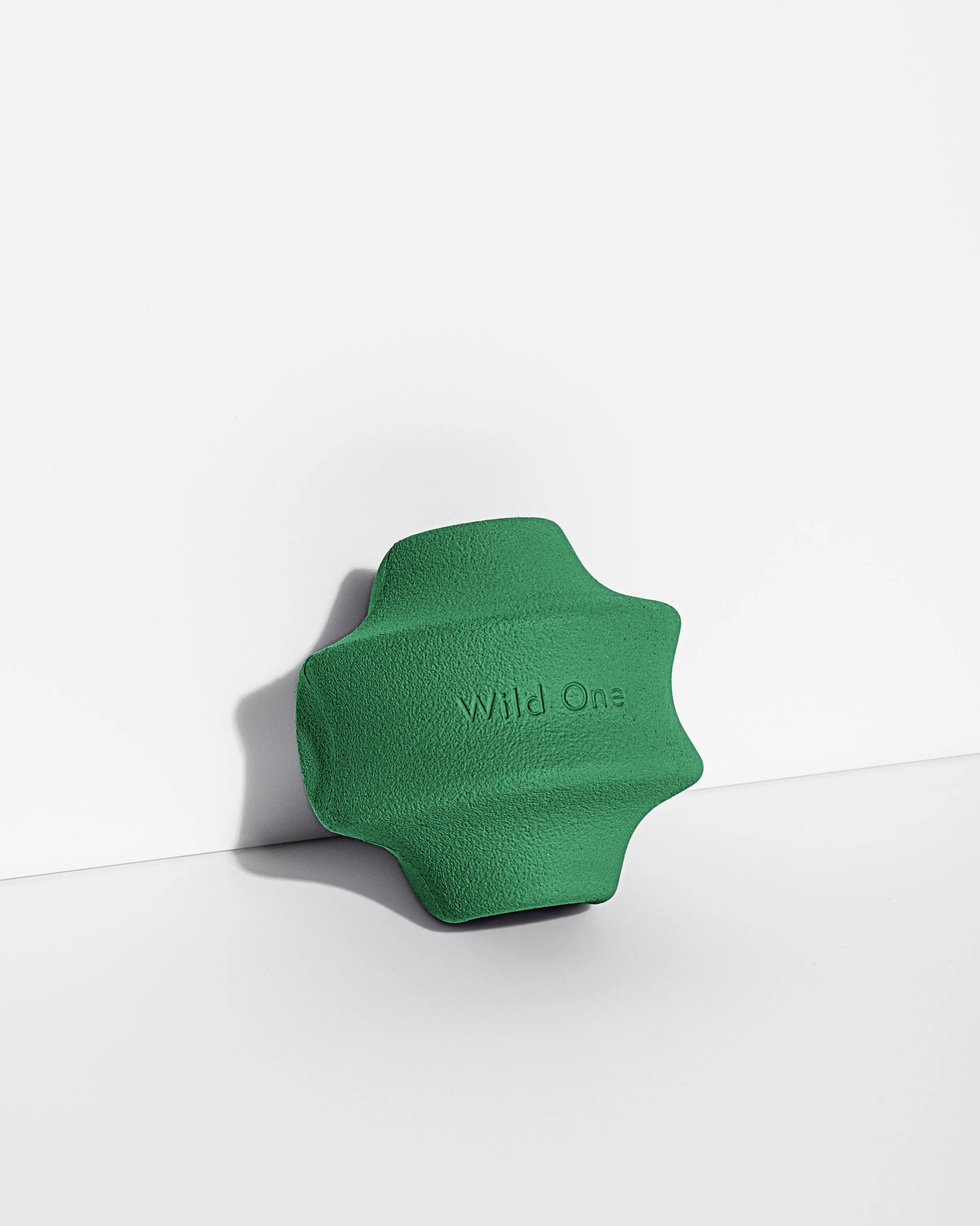 Interactive Dog Toy Kit for Chewing and Fetch