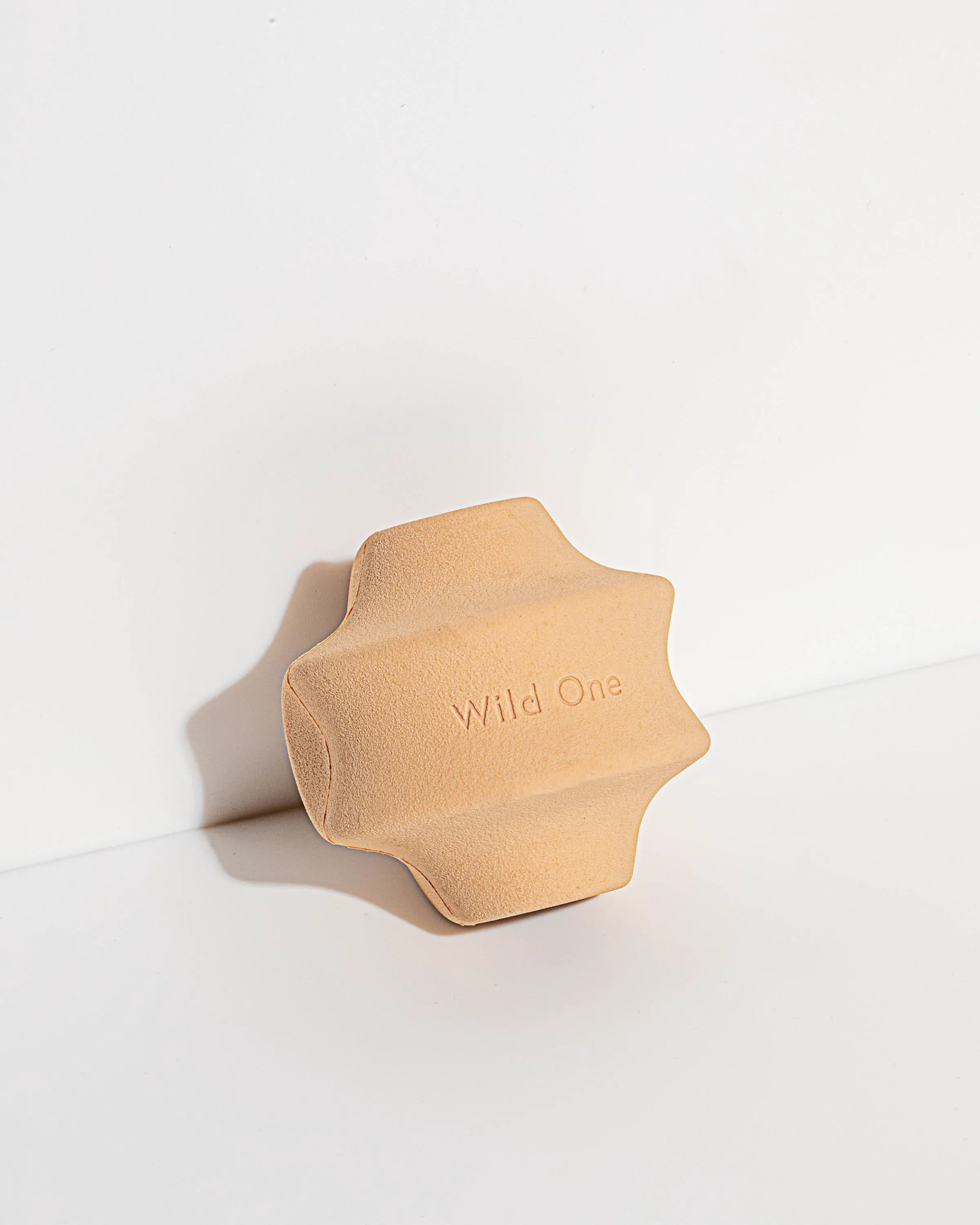 Interactive Dog Toy Kit for Chewing and Fetch