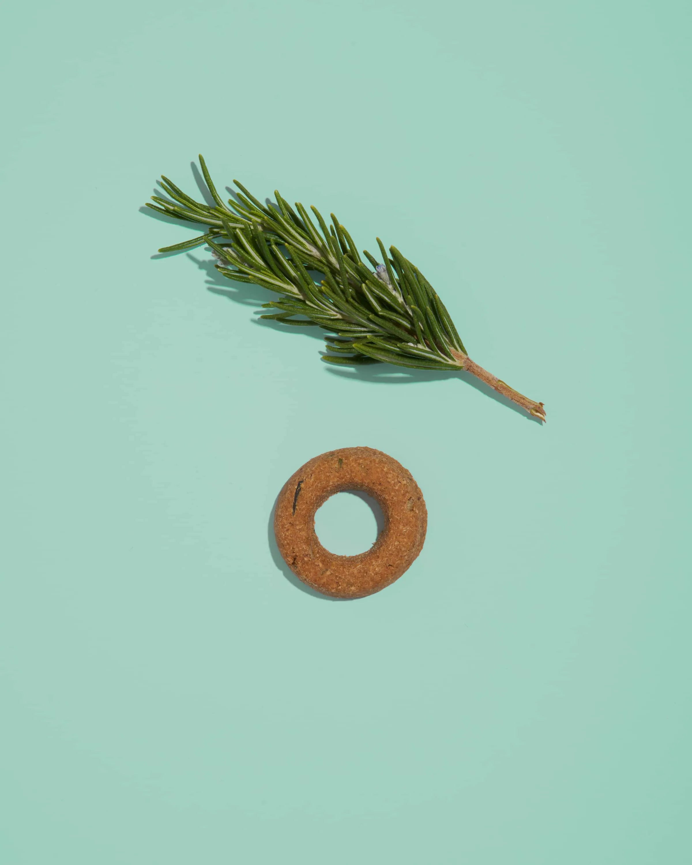 Organic Baked Treats