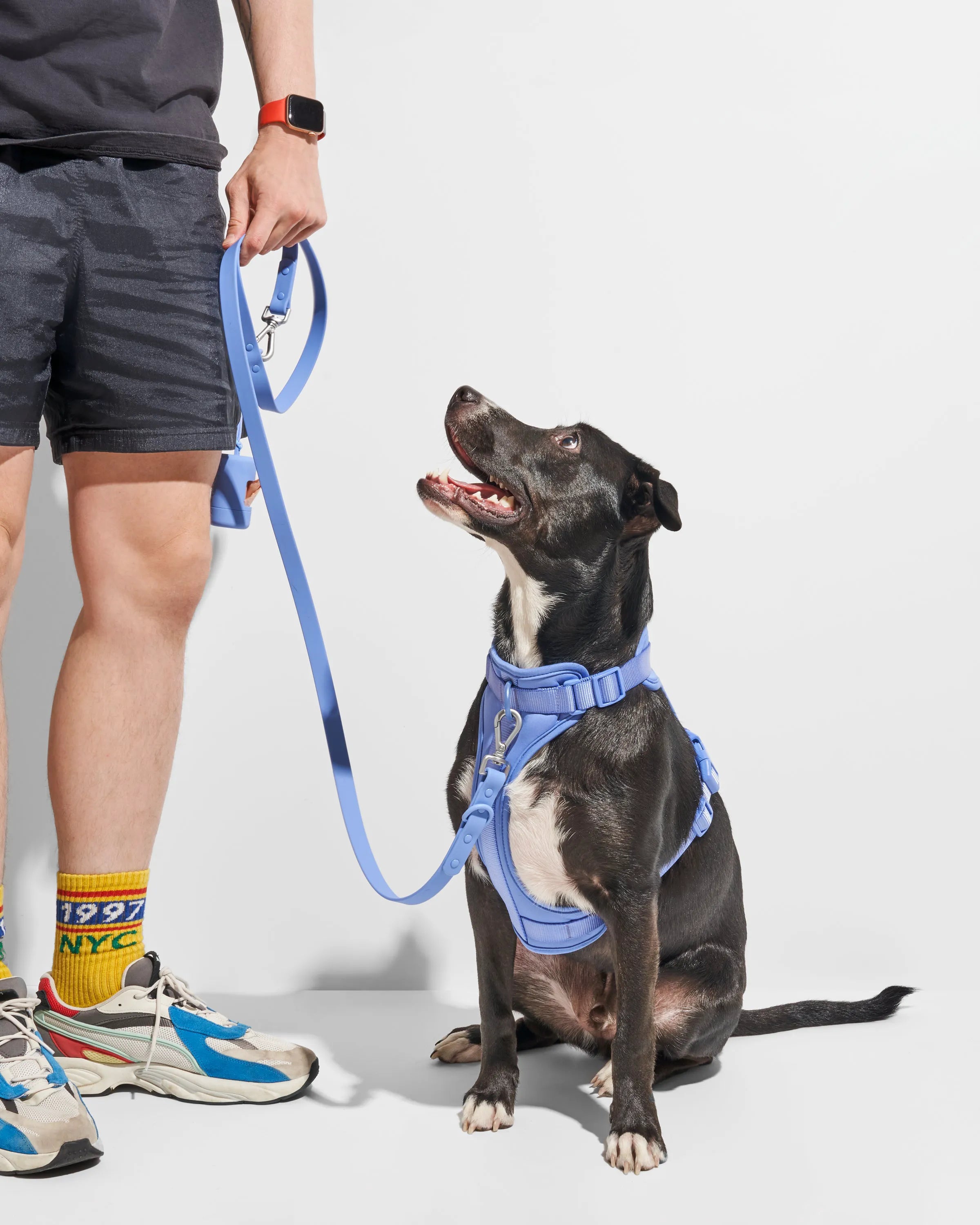 Cushioned Dog Harness