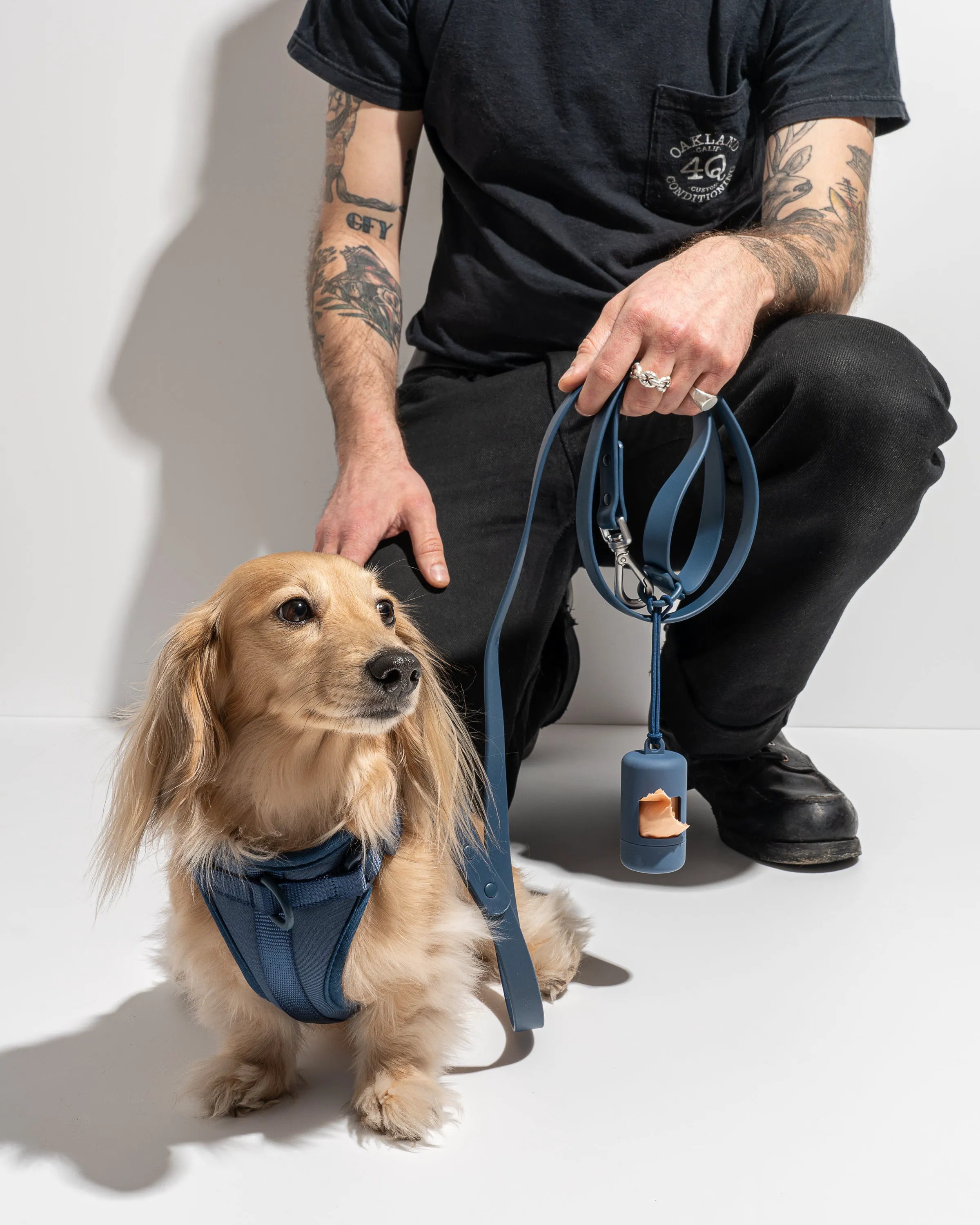 Cushioned Dog Harness