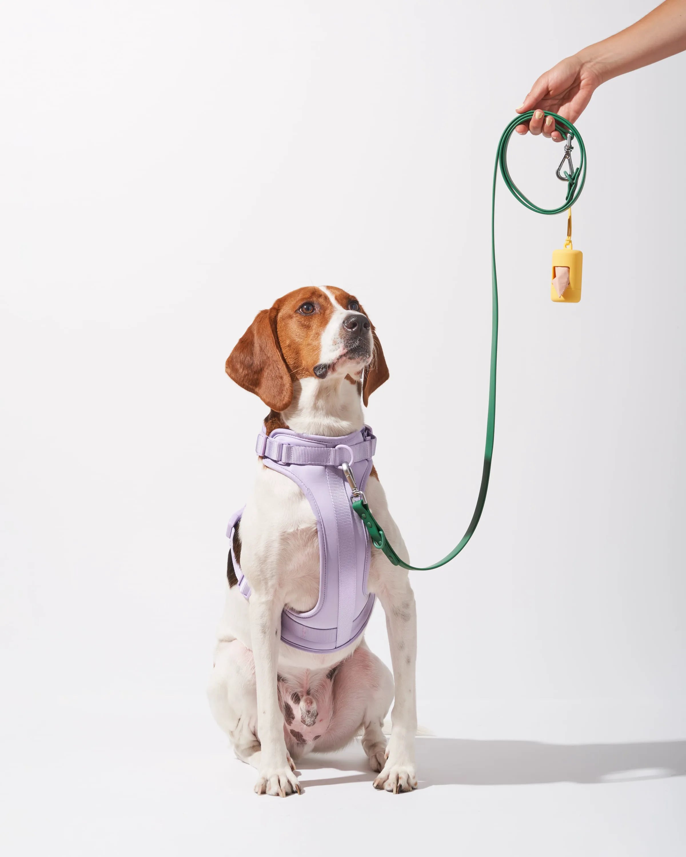 Cushioned Harness & Waterproof Leash Walk Kit