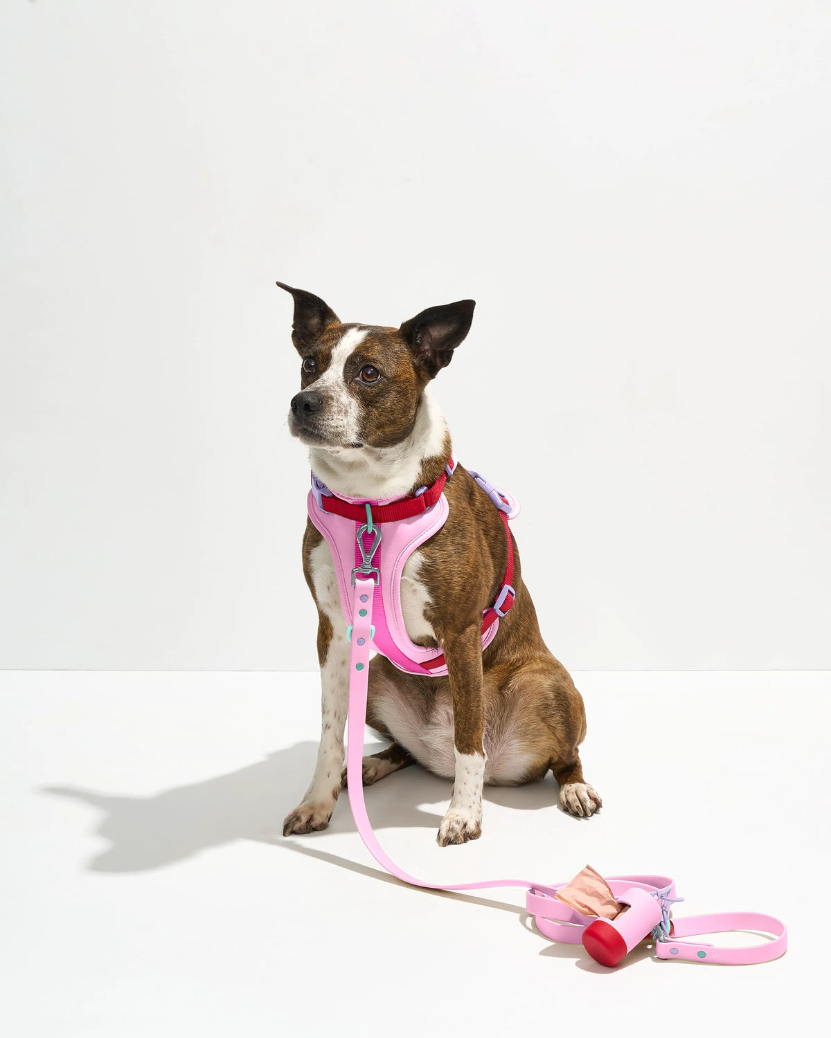 Cushioned Harness & Waterproof Leash Walk Kit