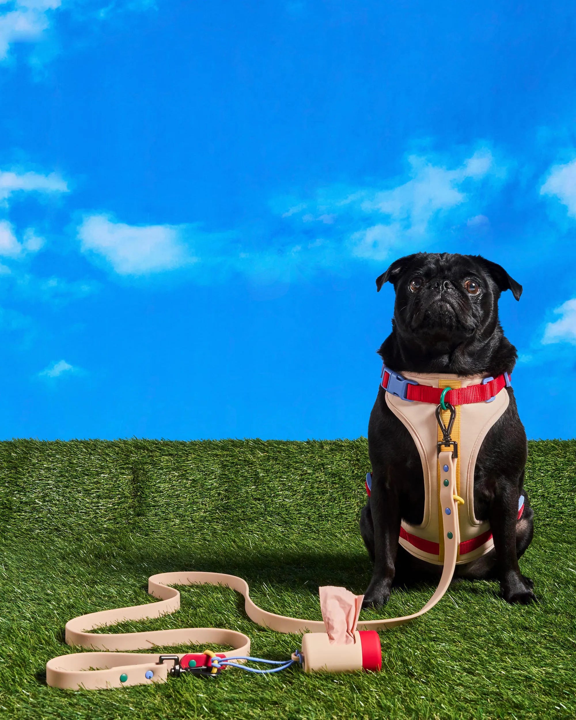 Cushioned Dog Harness