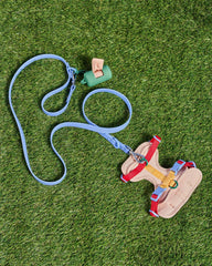 Cushioned Harness & Waterproof Leash Walk Kit