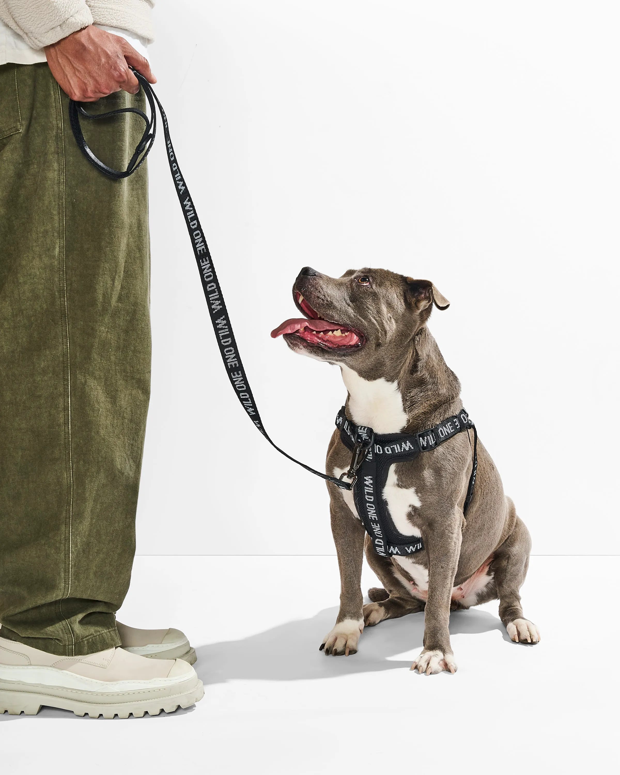 Lightweight Dog Leash