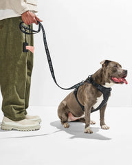 Cushioned Harness and Lightweight Leash Walk Kit