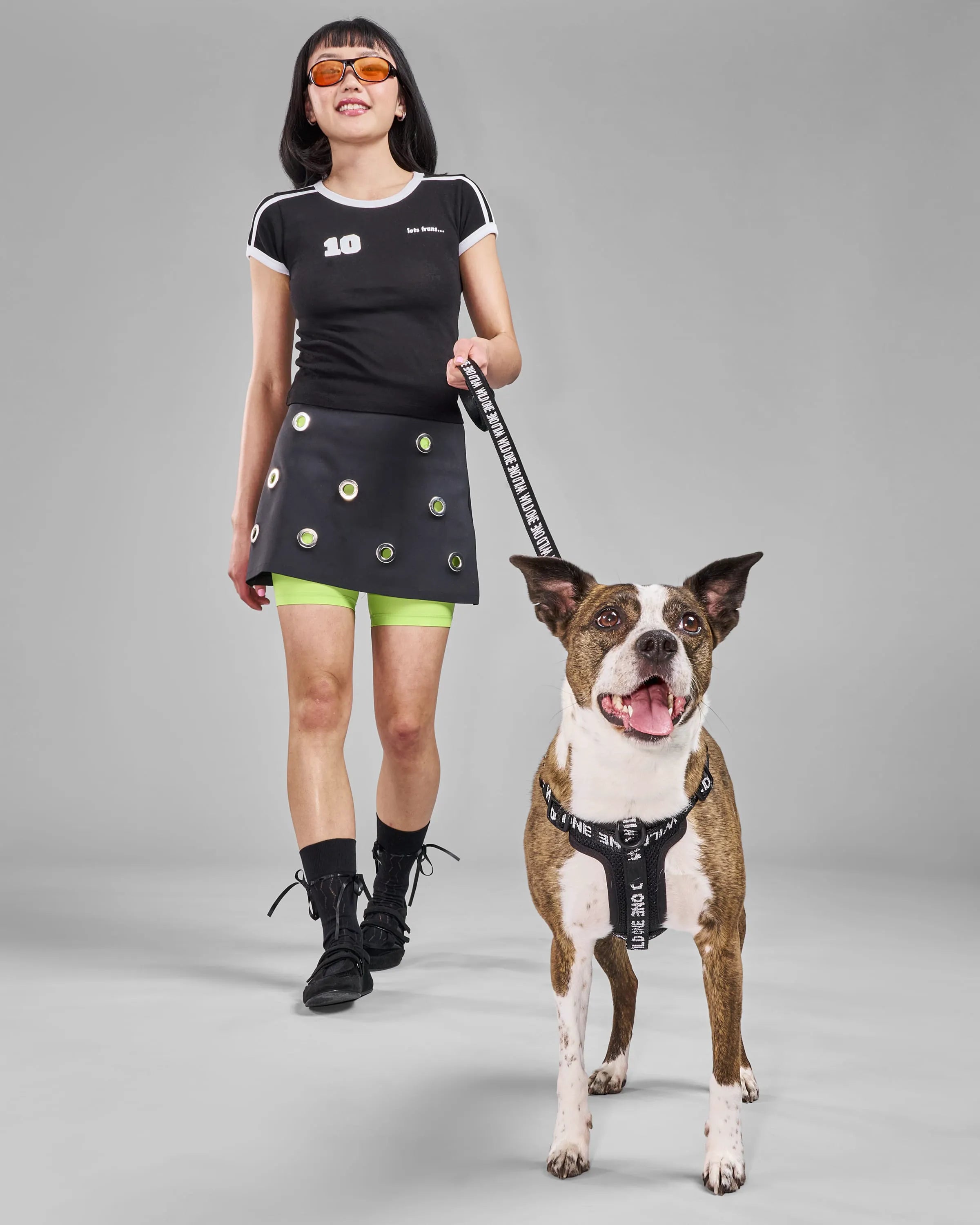 Lightweight Dog Leash
