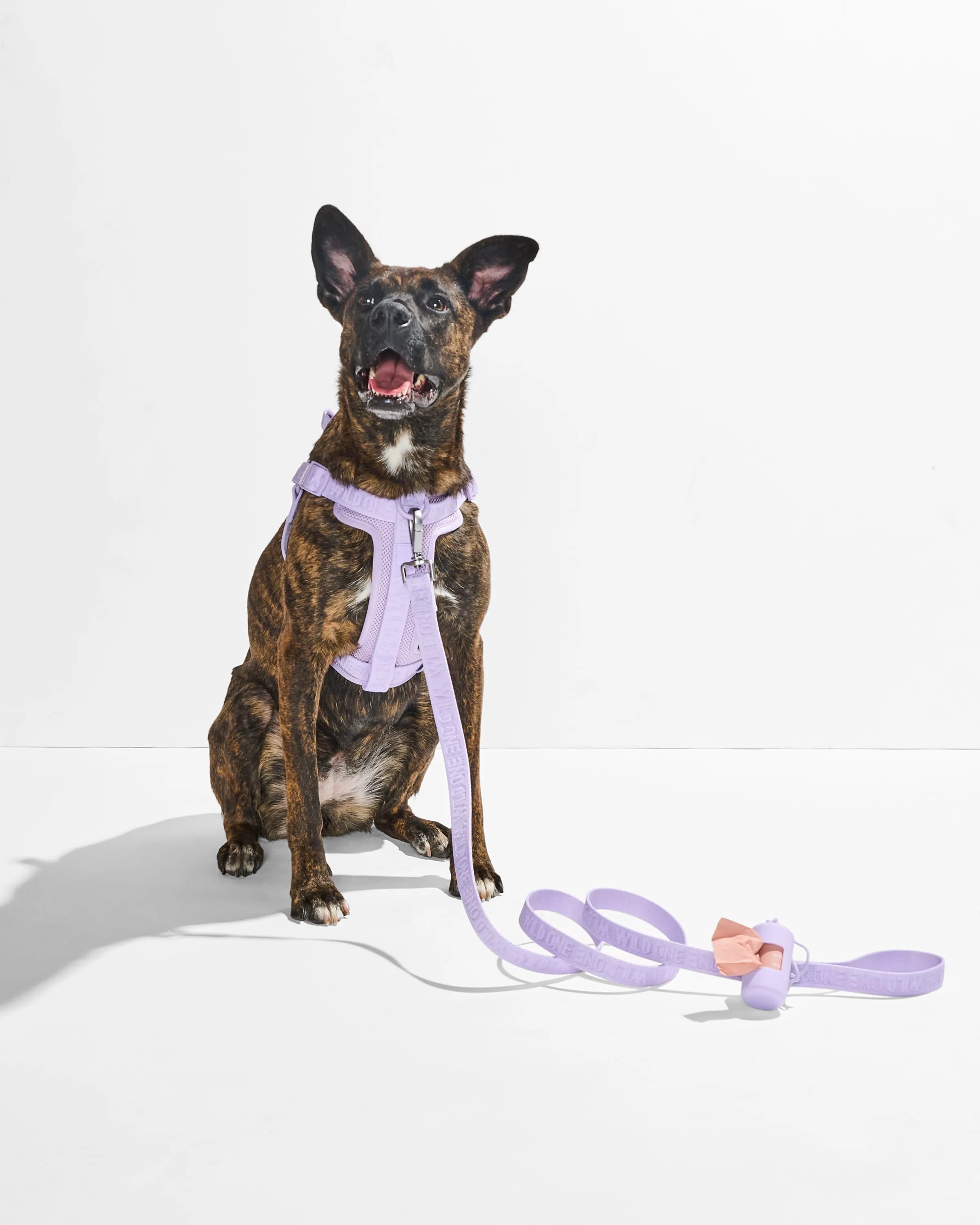 Lightweight Dog Leash
