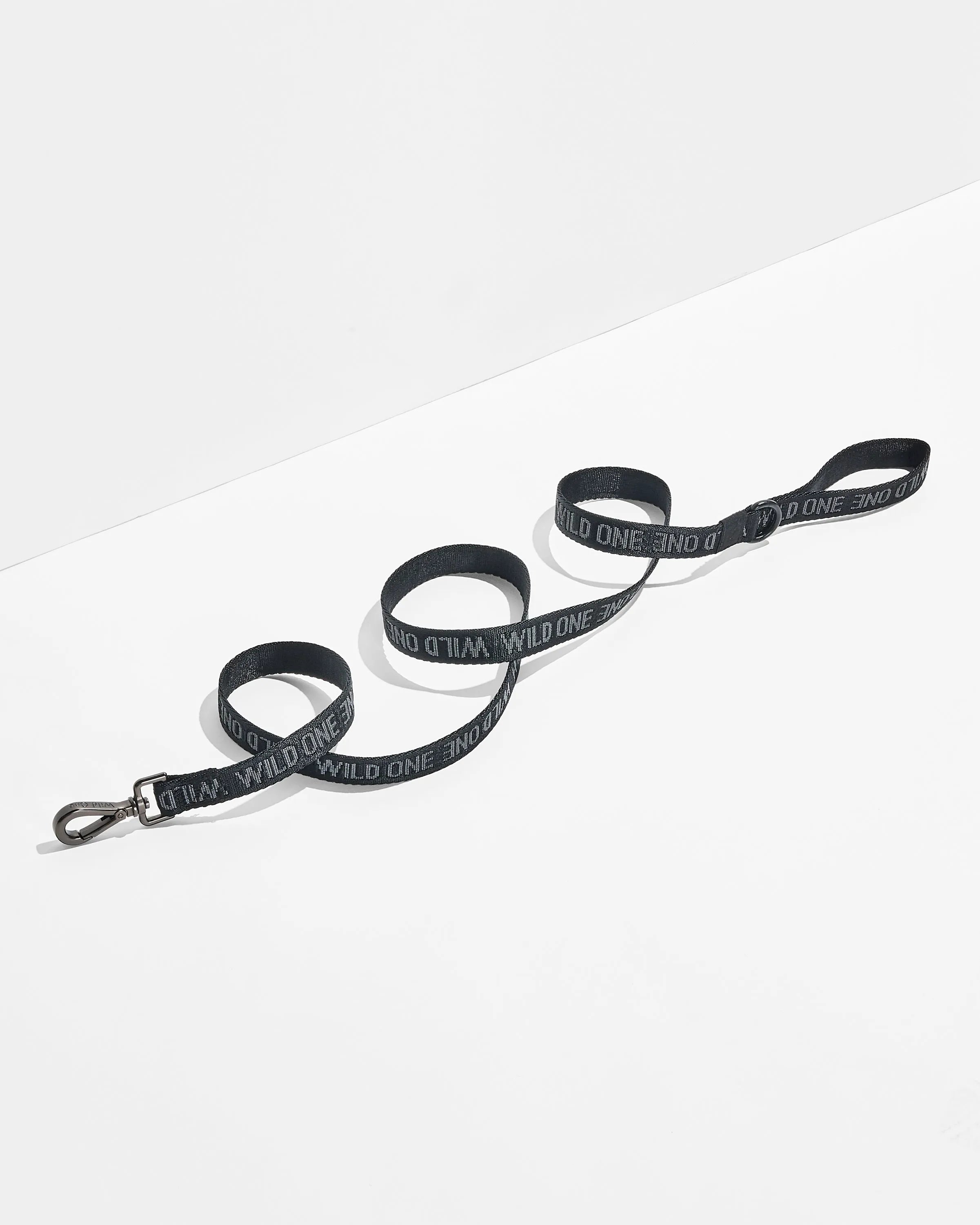 Lightweight Dog Leash
