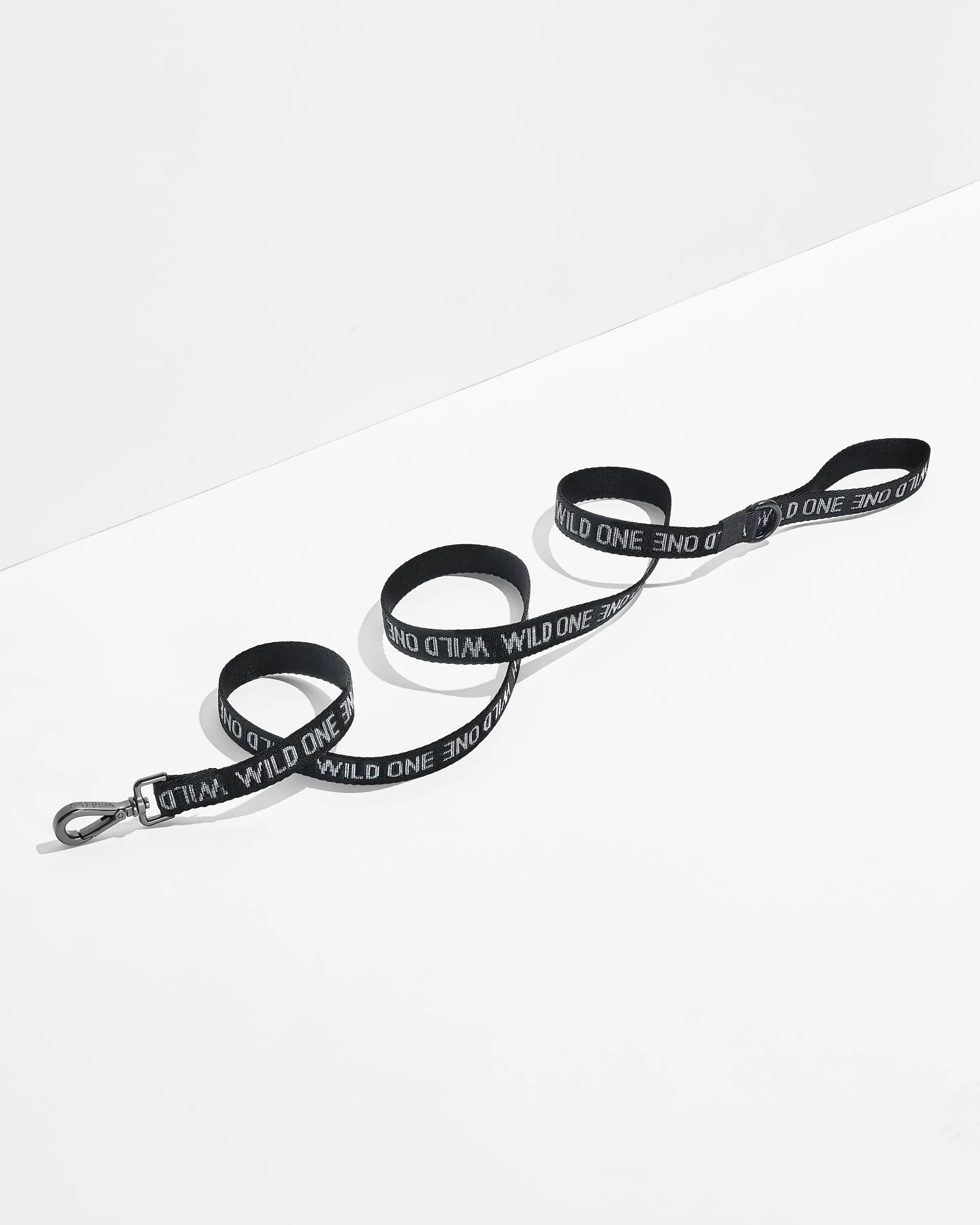 Cushioned Harness and Lightweight Leash Walk Kit