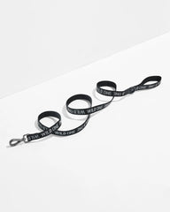 Cushioned Harness + Lightweight Leash Walk Kit