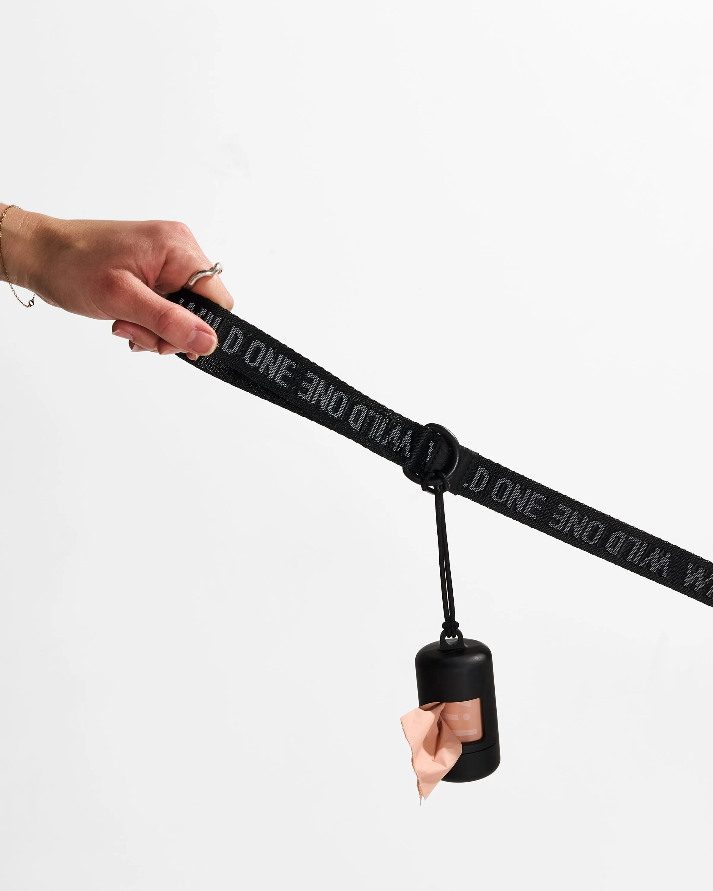 Lightweight Dog Leash