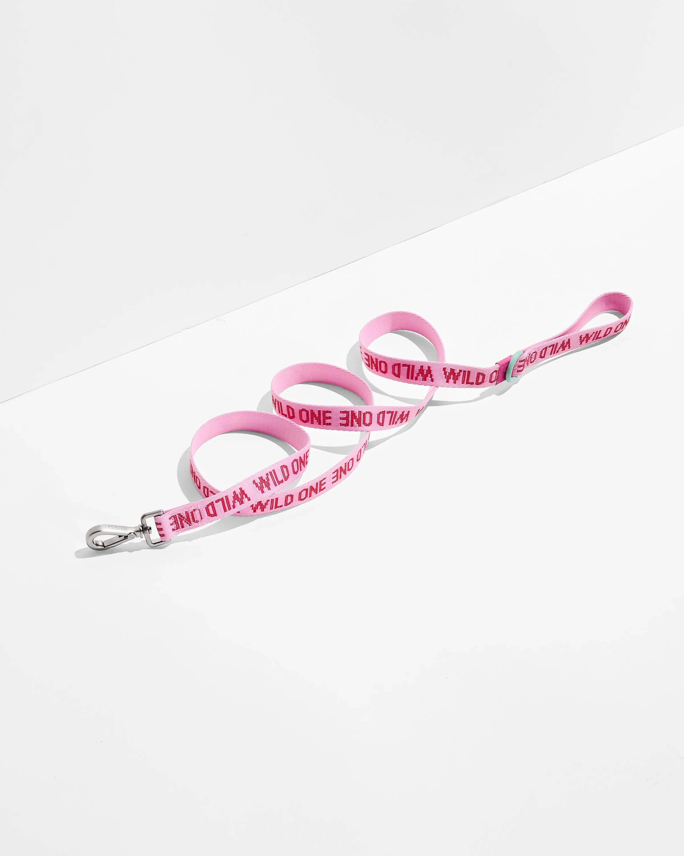 Lightweight Dog Leash
