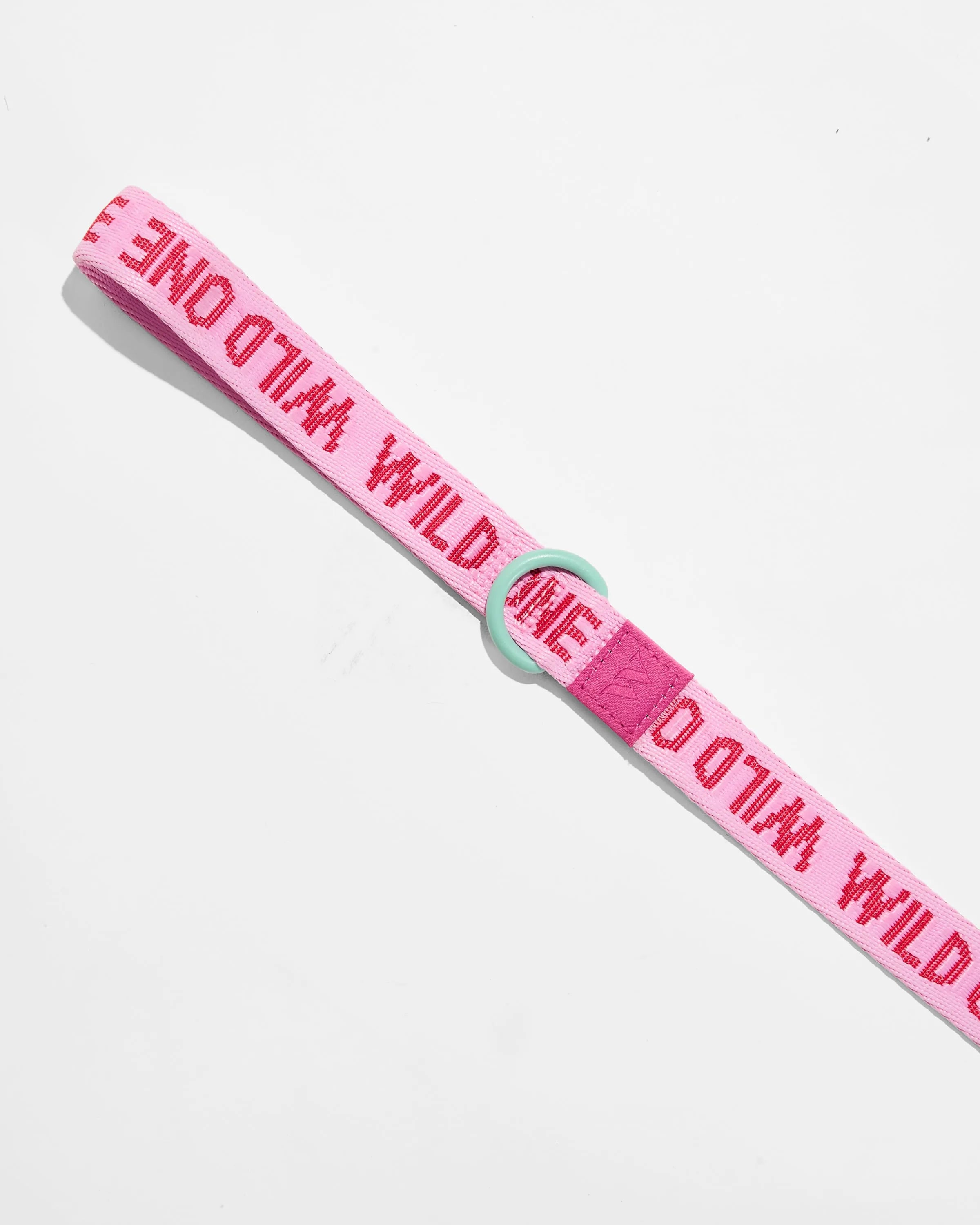 Lightweight Dog Leash