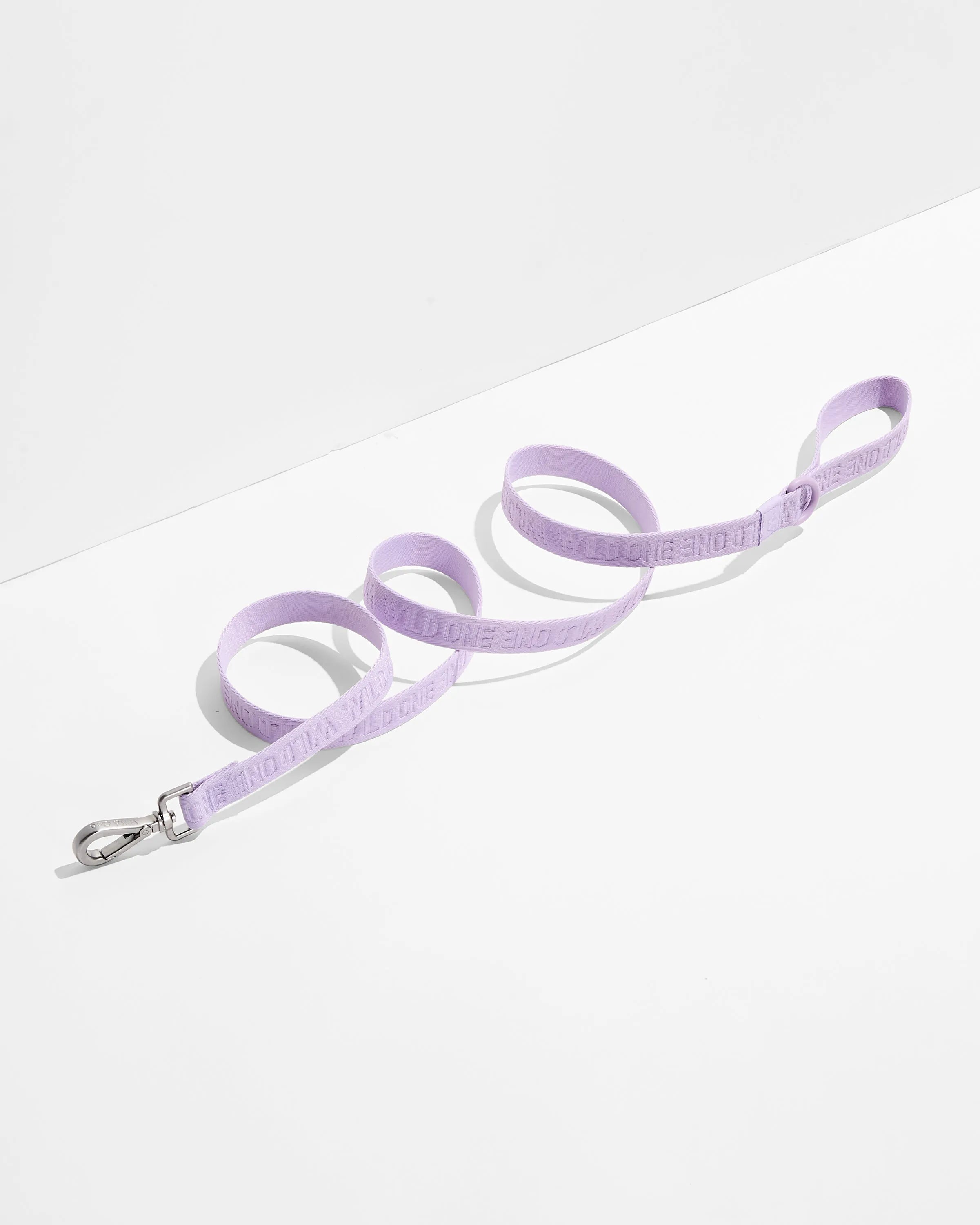 Lightweight Dog Leash