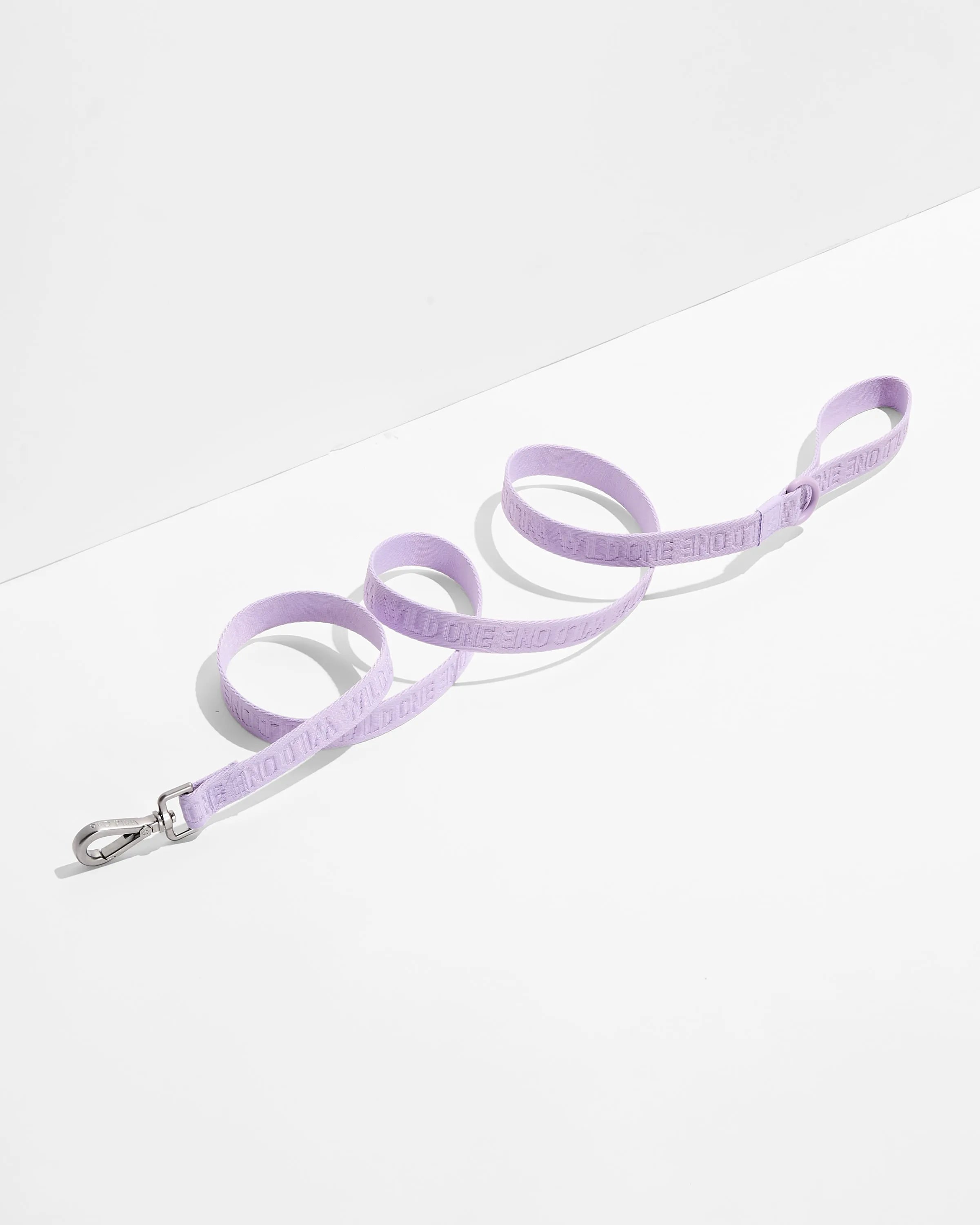 Quick-Release Collar + Lightweight Leash Walk Kit