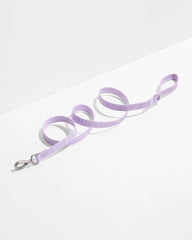 Quick-Release Collar + Lightweight Leash Walk Kit