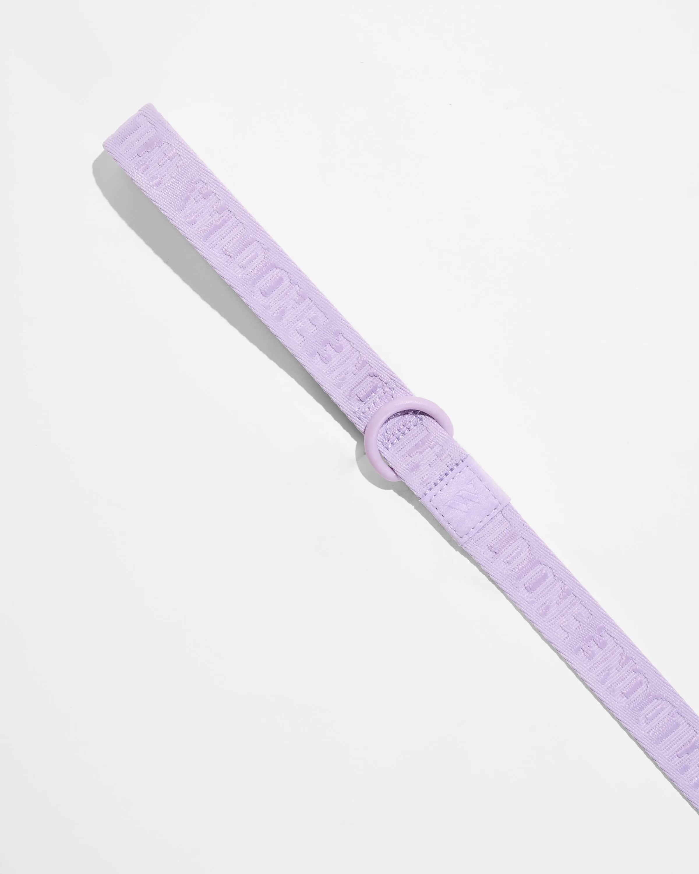 Lightweight Dog Leash
