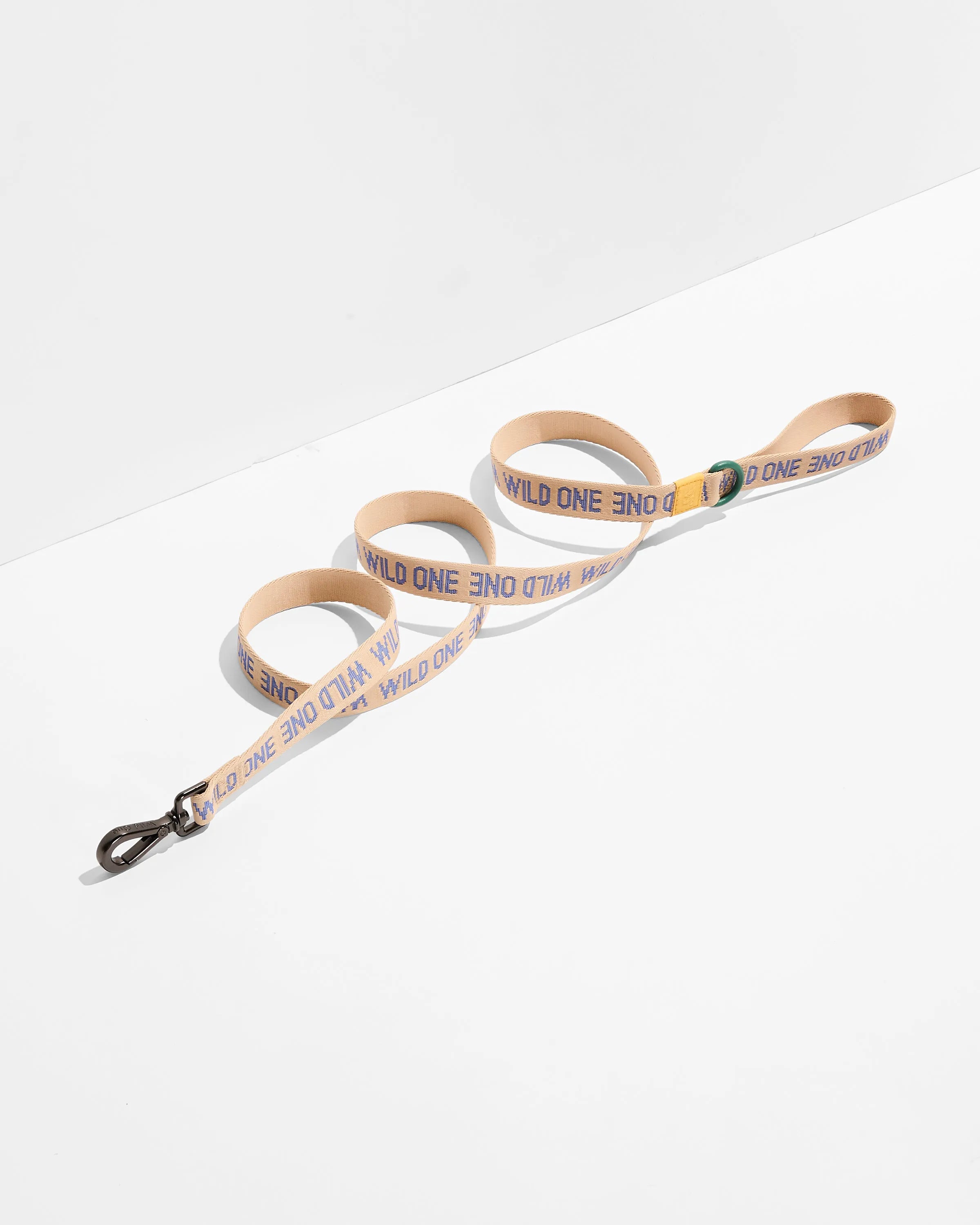 Lightweight Dog Leash