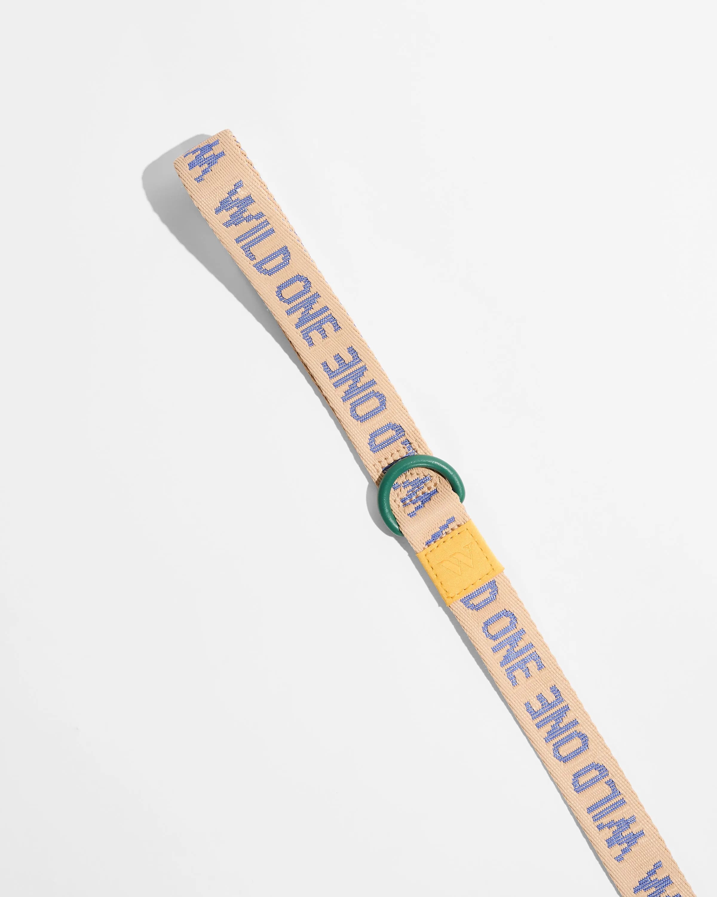 Lightweight Dog Leash