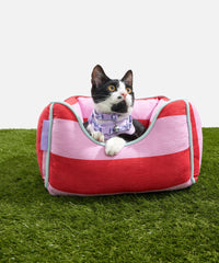 Cat Bolster Bed