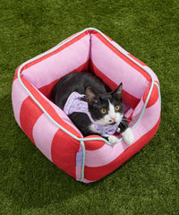 Cat Bolster Bed