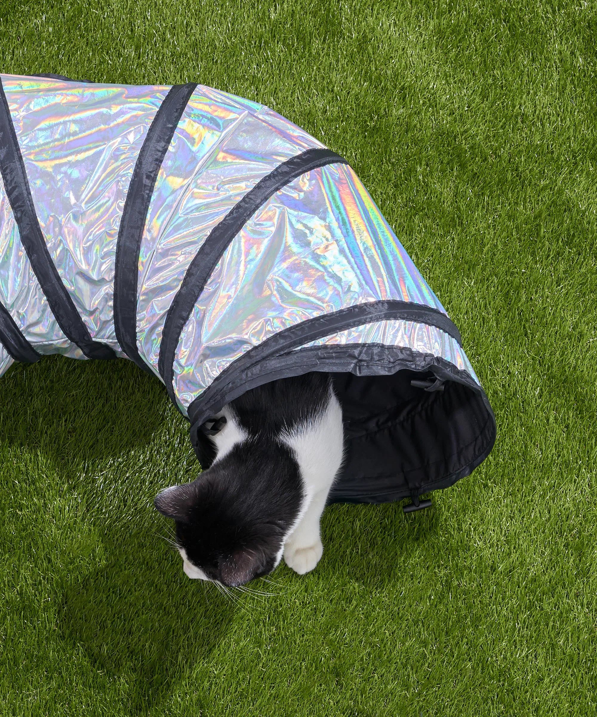 Interactive Cat Tunnel for Play and Exercise
